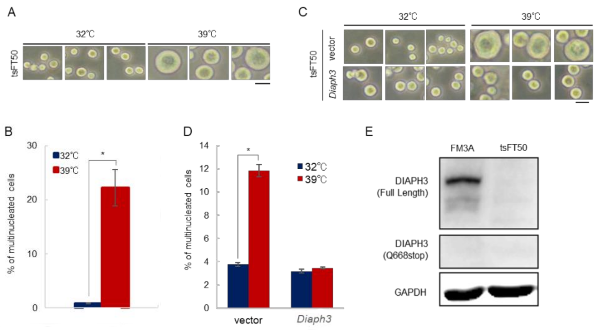 Ijms 21 08493 g002 Ijms 21 08493 g002