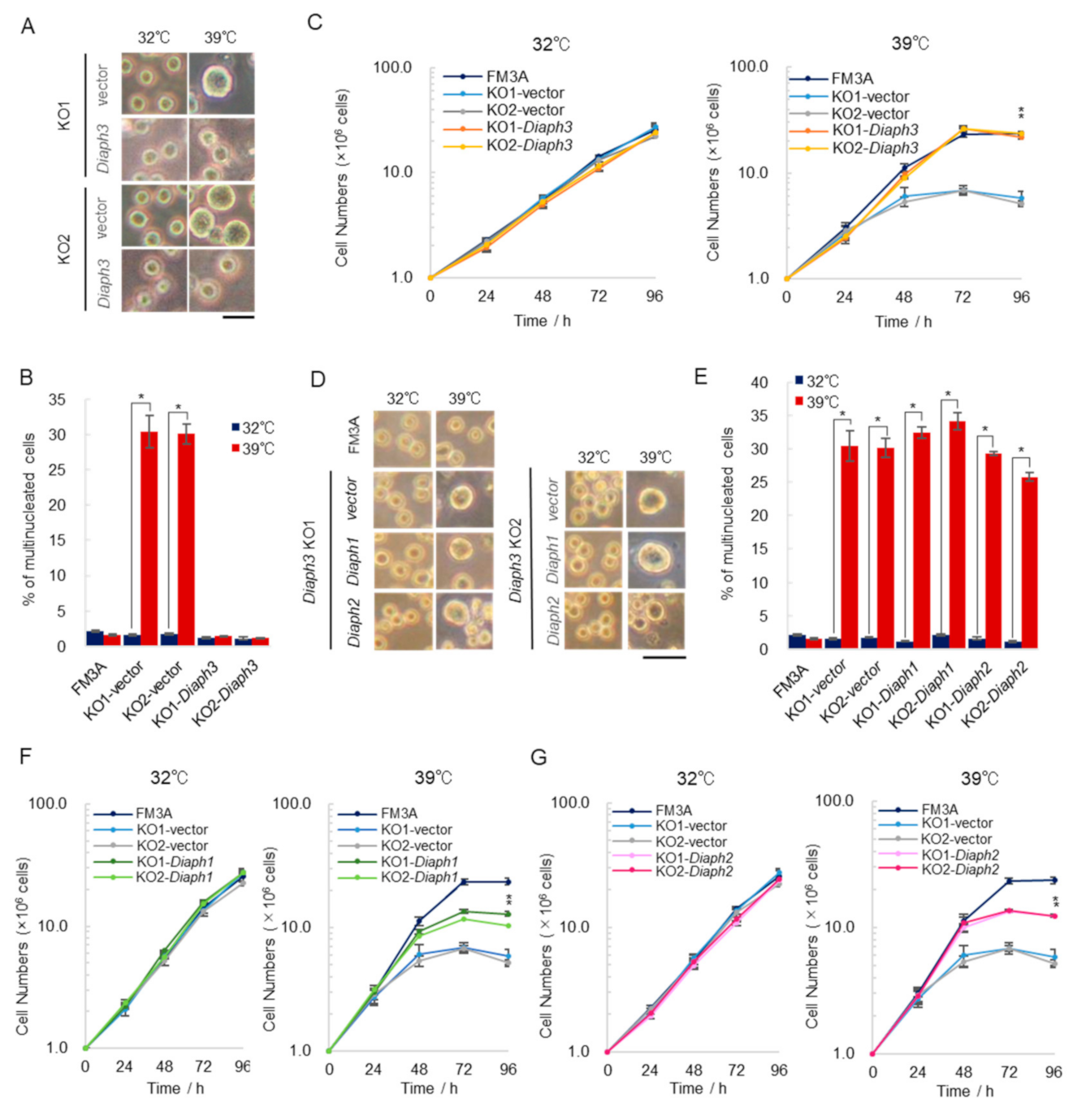 Ijms 21 08493 g004 Ijms 21 08493 g004