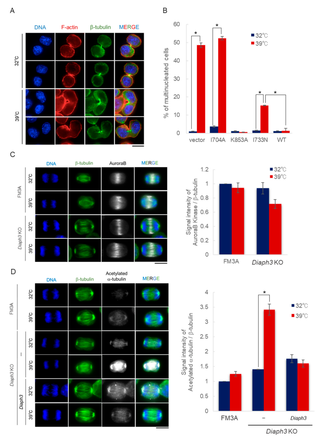 Ijms 21 08493 g005 Ijms 21 08493 g005