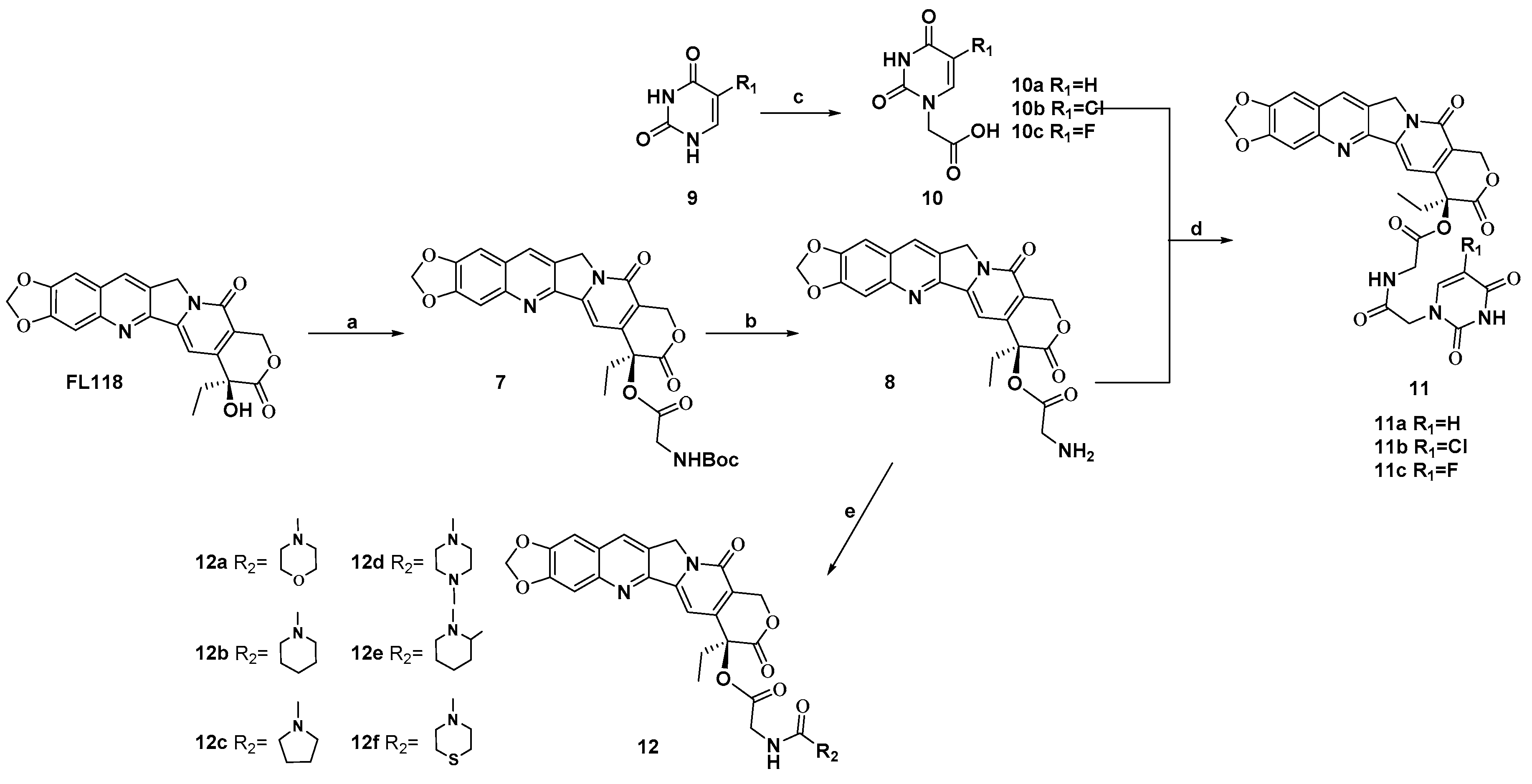 Ijms 21 08495 sch001