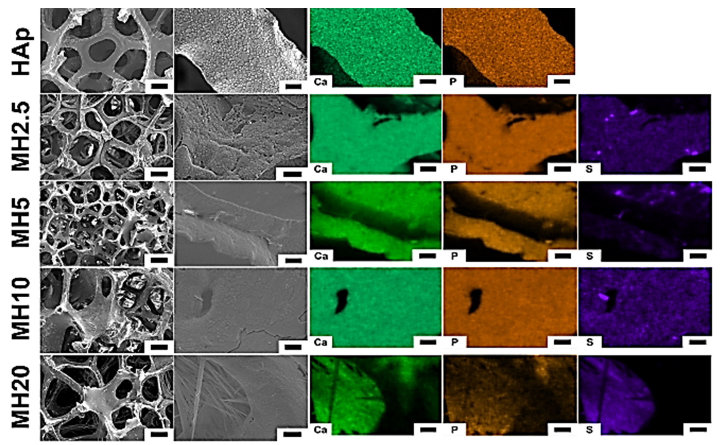 Ijms 21 08501 g001 Ijms 21 08501 g001