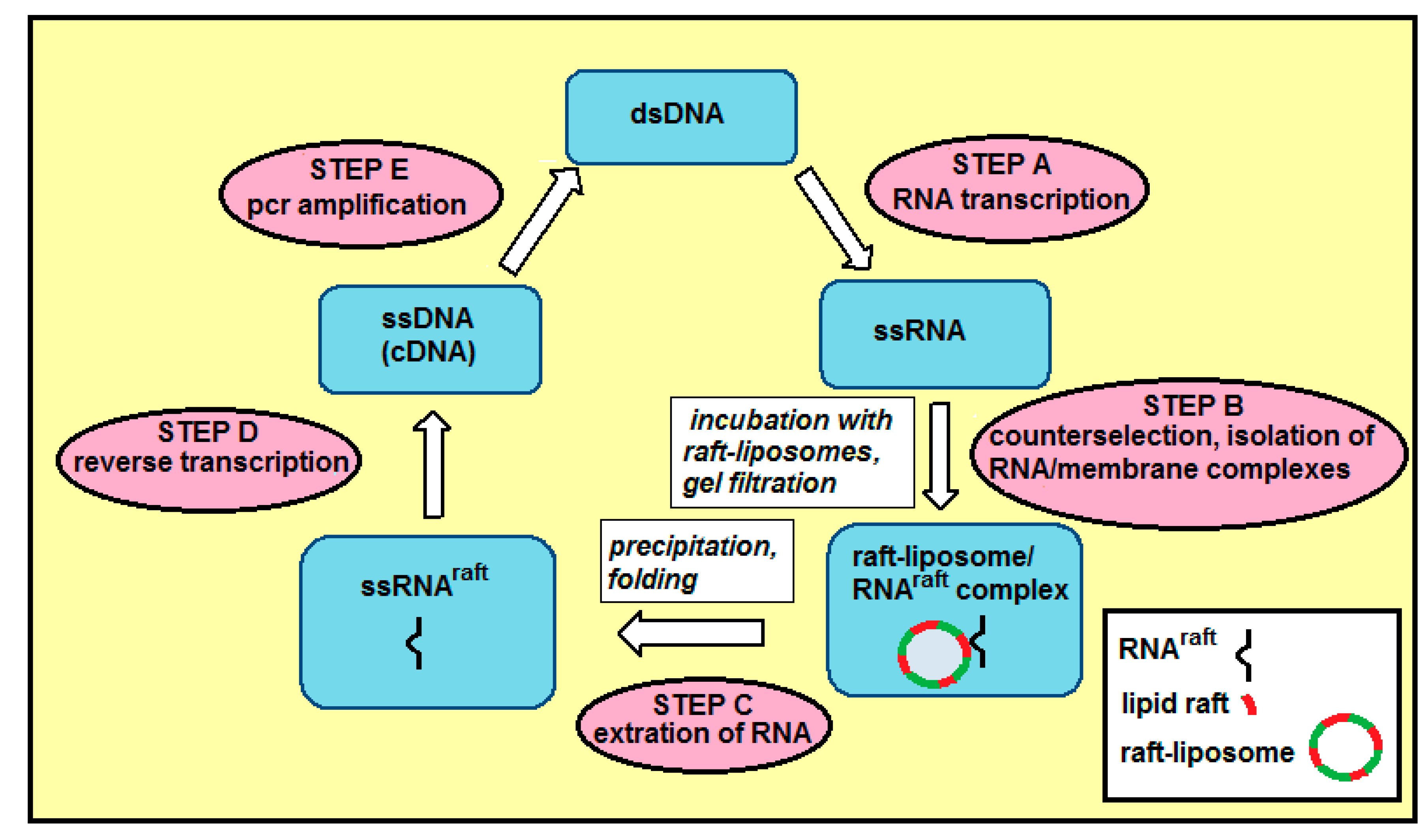 Ijms 21 08503 g008 Ijms 21 08503 g008