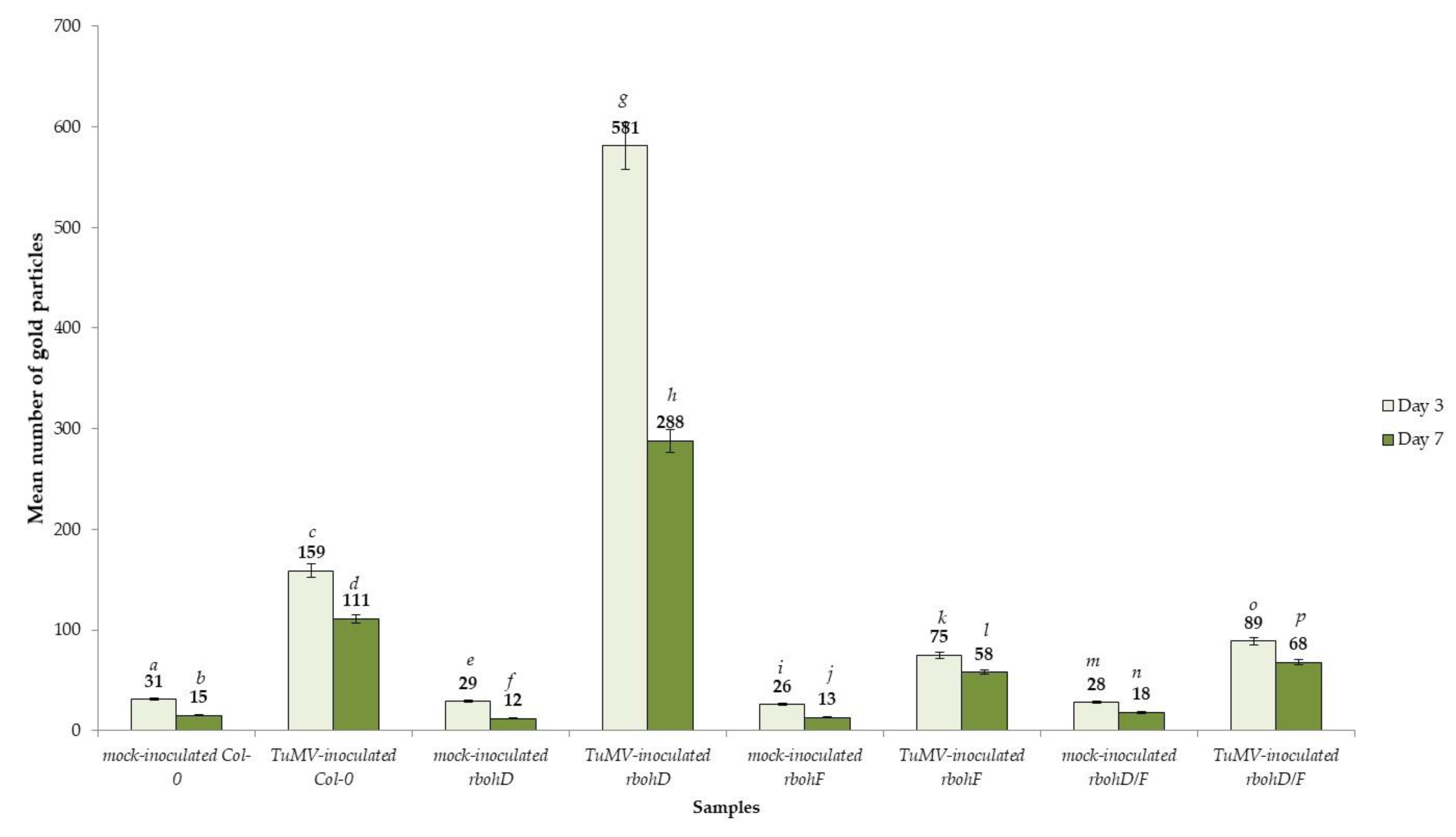 Ijms 21 08510 g011 Ijms 21 08510 g011