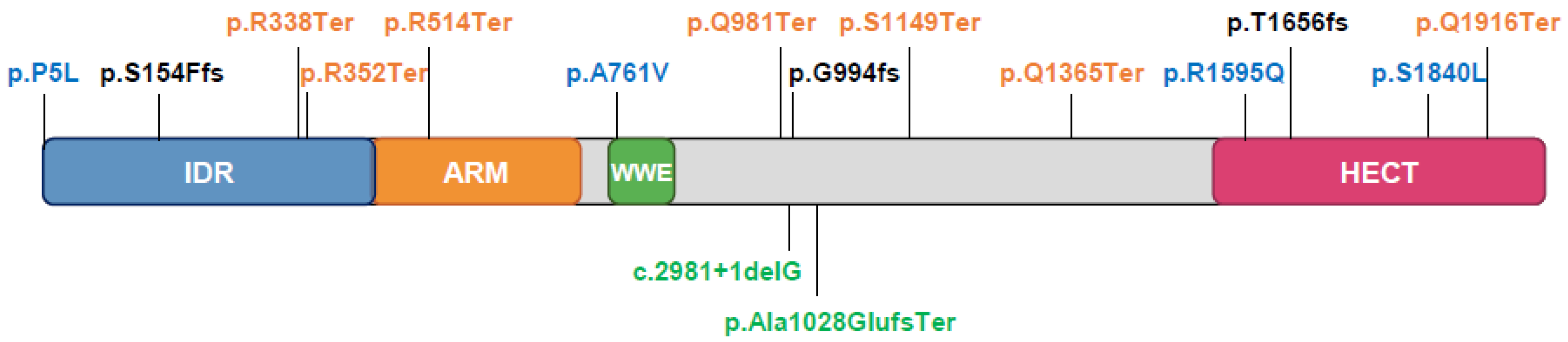 Ijms 21 08515 g008 Ijms 21 08515 g008