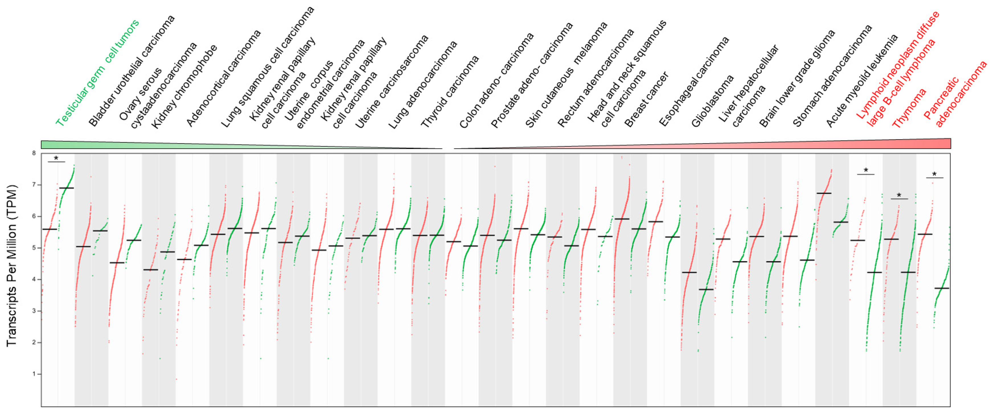 Ijms 21 08515 g011 Ijms 21 08515 g011