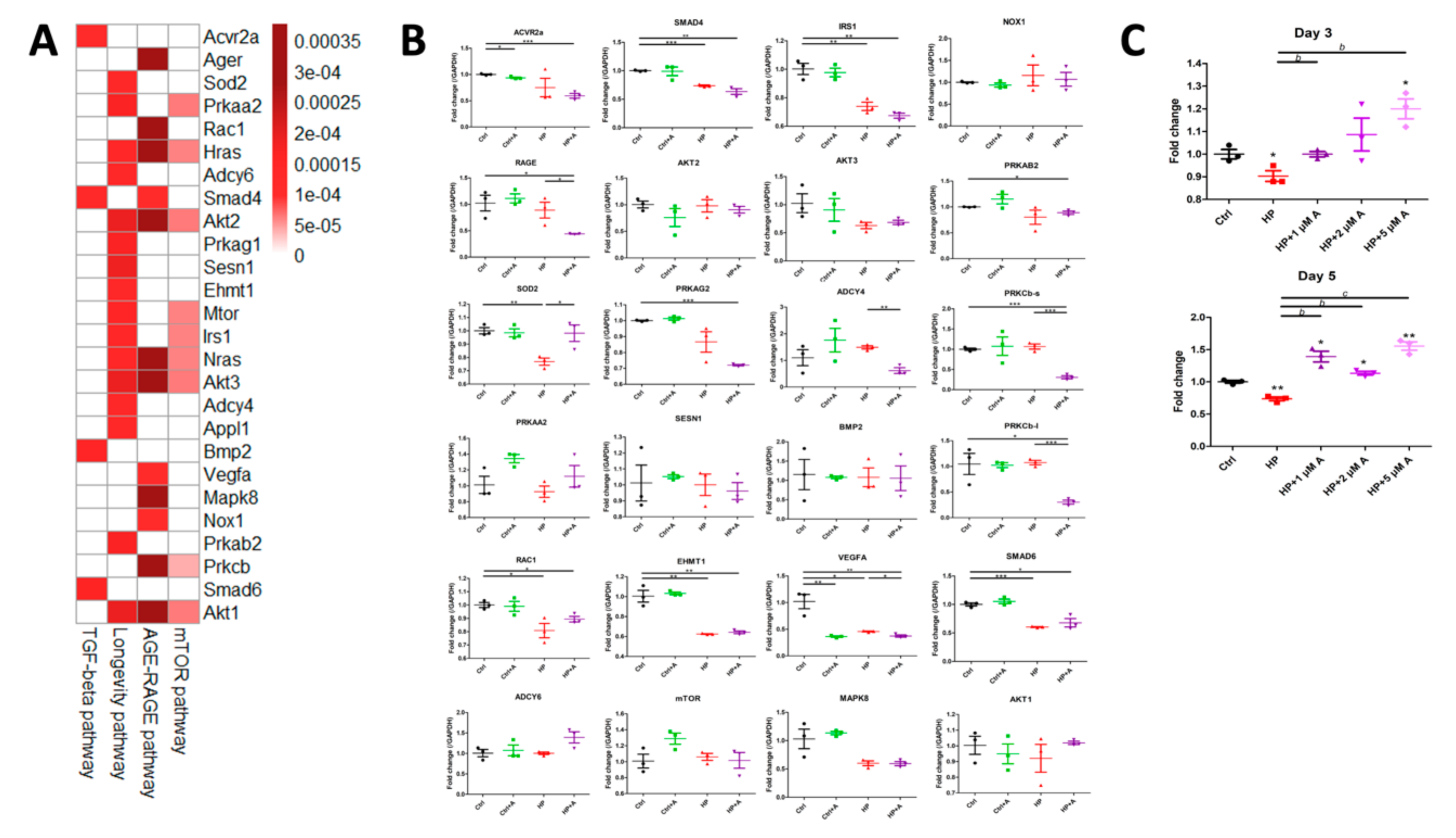Ijms 21 08530 g005 Ijms 21 08530 g005