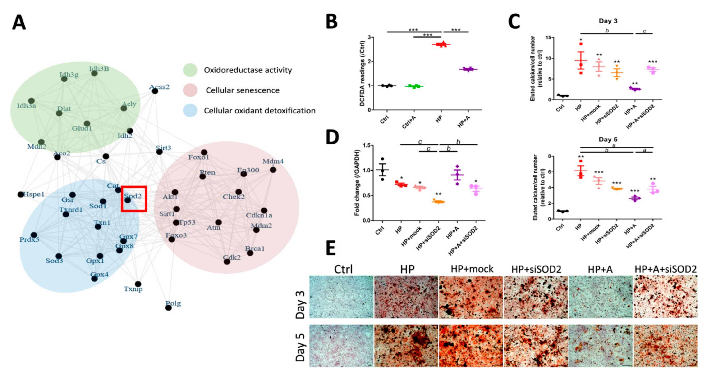 Ijms 21 08530 g006 Ijms 21 08530 g006