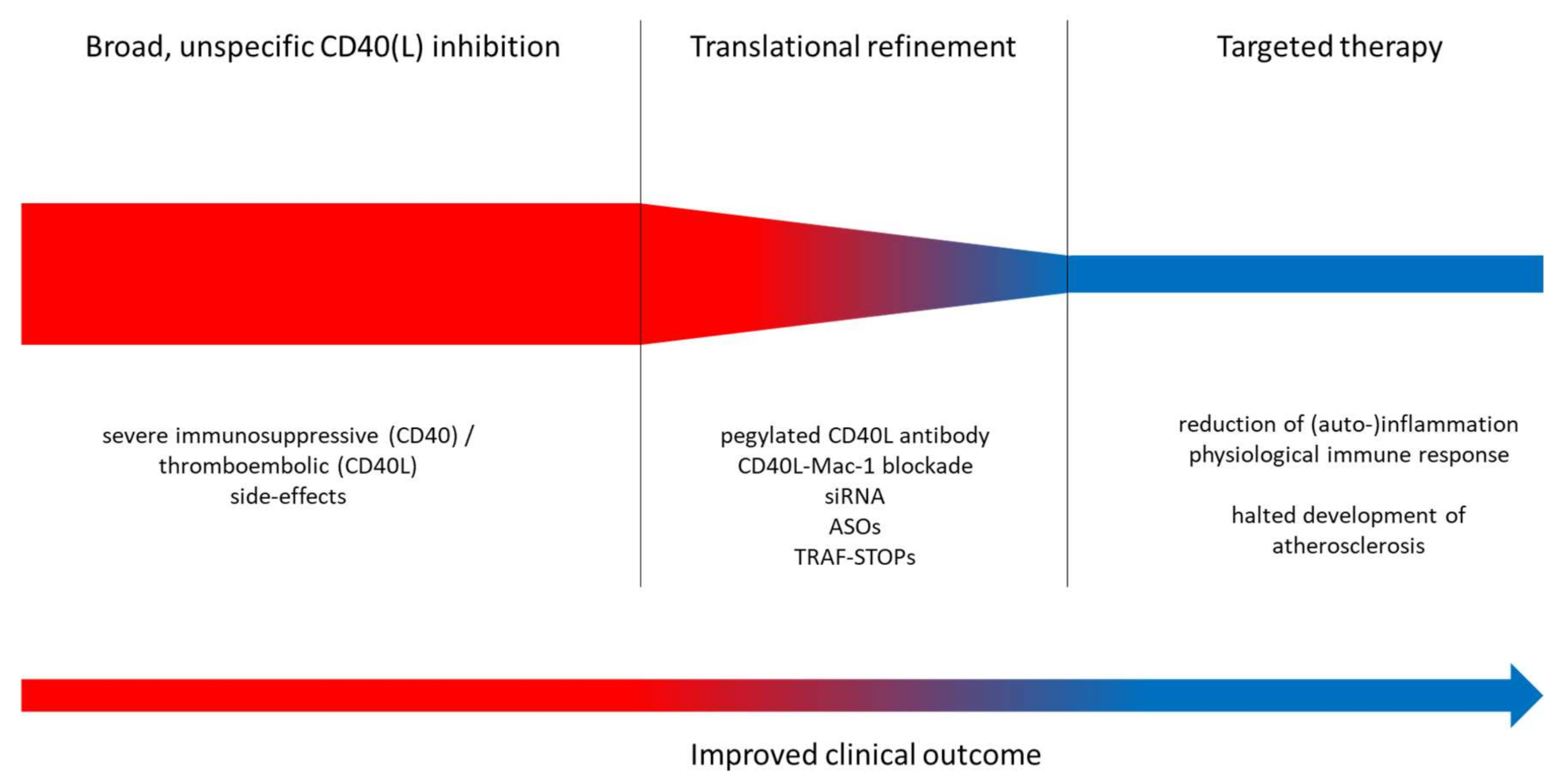 Ijms 21 08533 g003a Ijms 21 08533 g003a