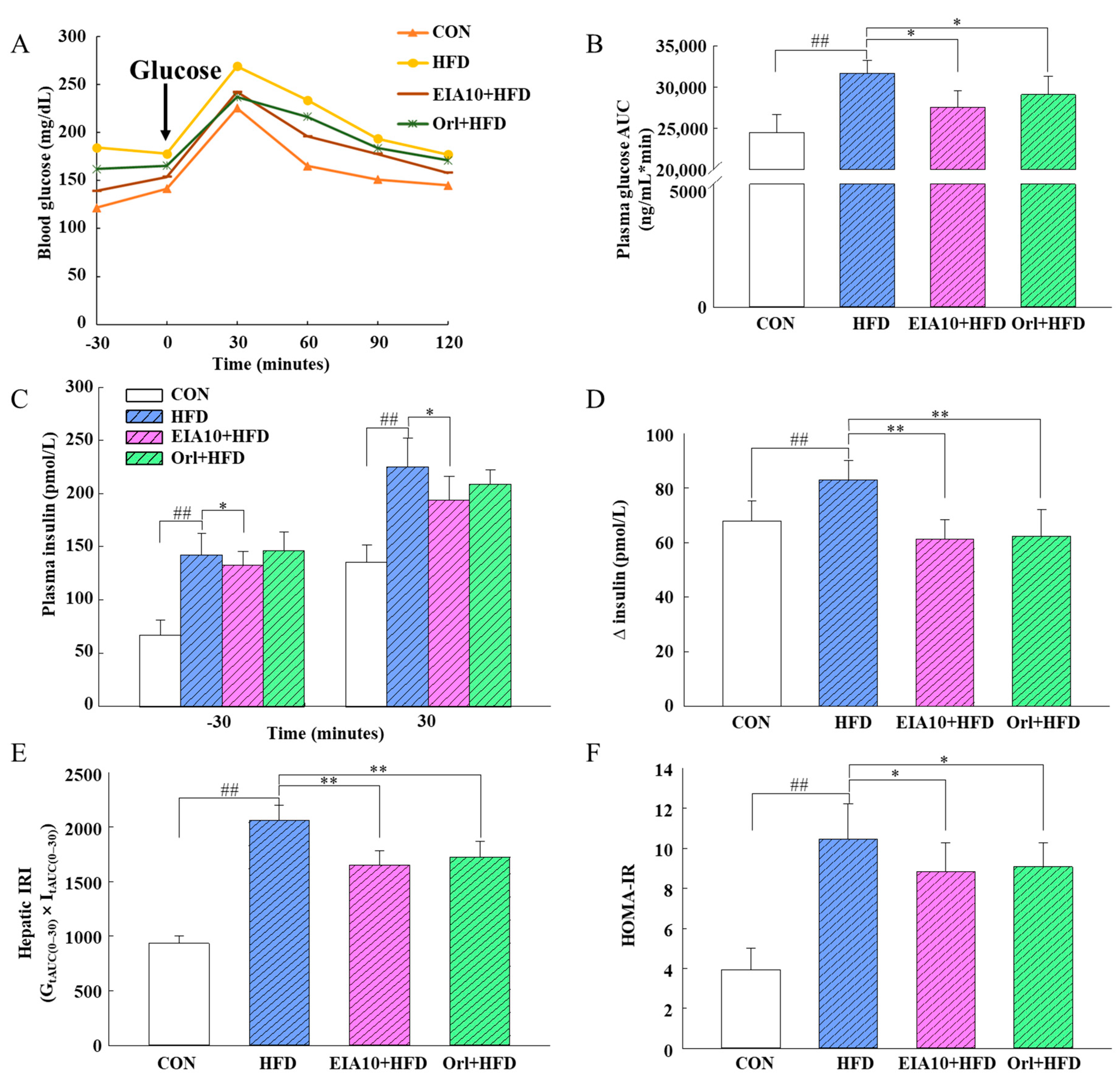 Ijms 21 08537 g003 Ijms 21 08537 g003