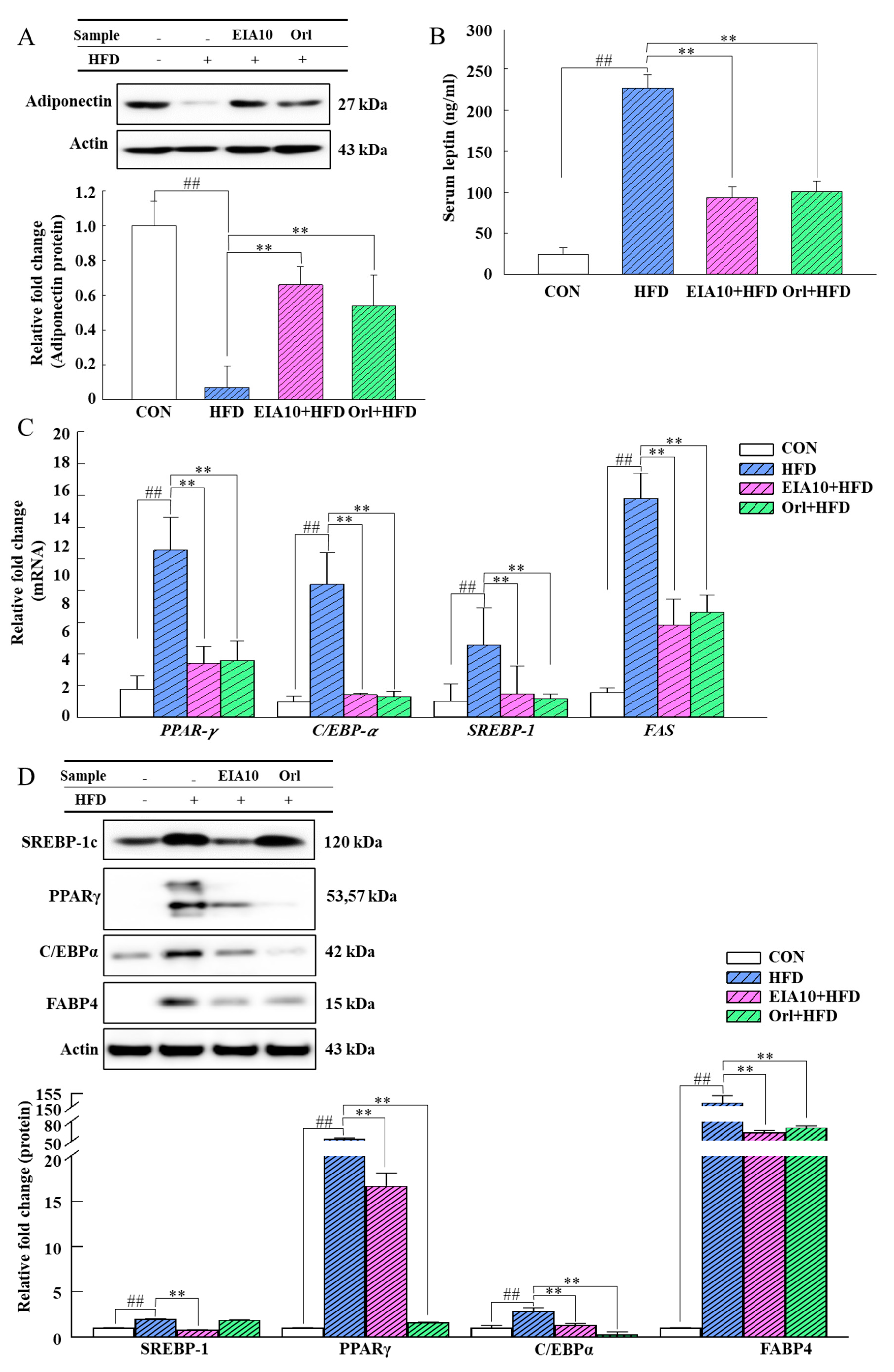 Ijms 21 08537 g004 Ijms 21 08537 g004