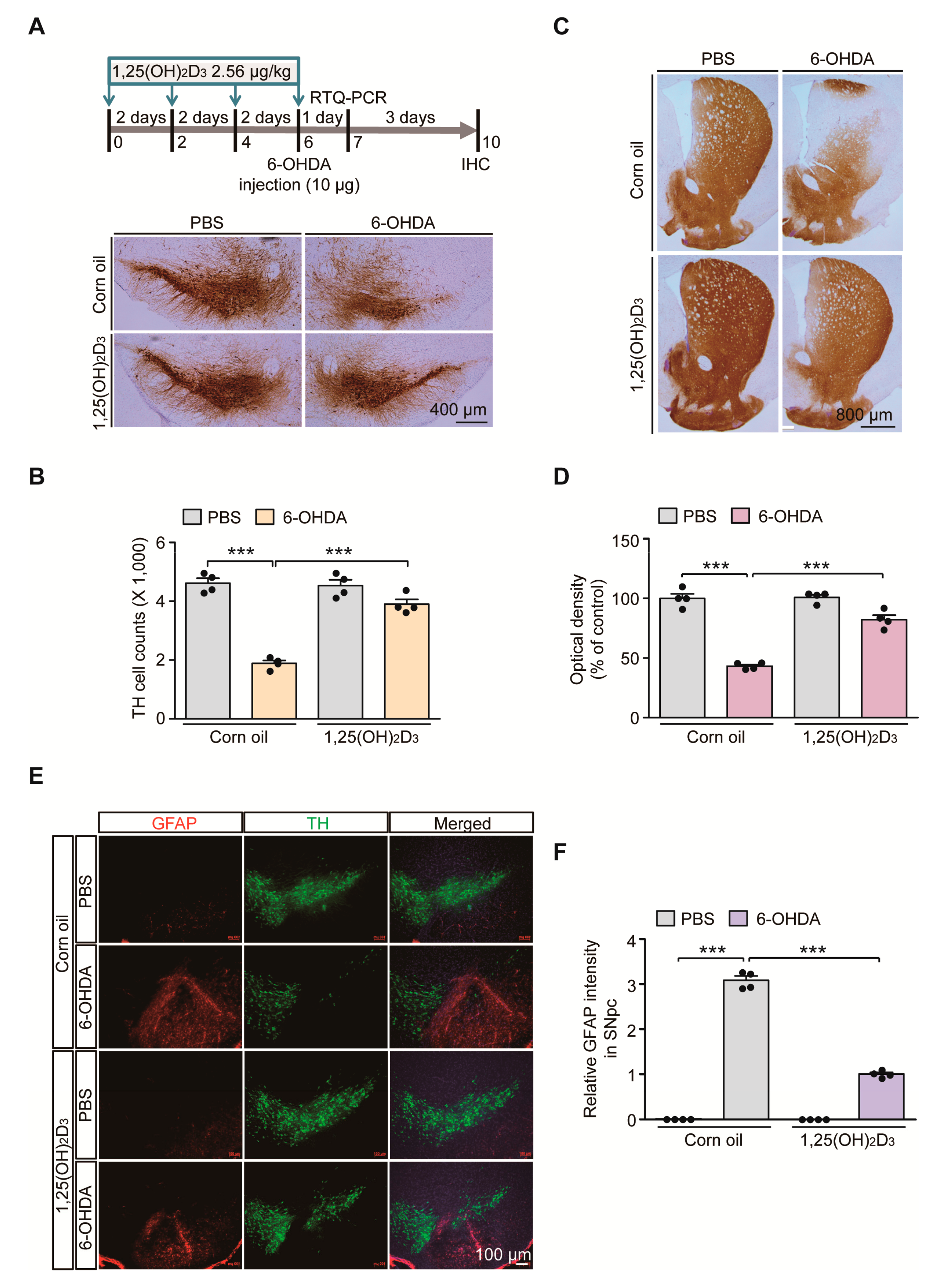 Ijms 21 08538 g001 Ijms 21 08538 g001