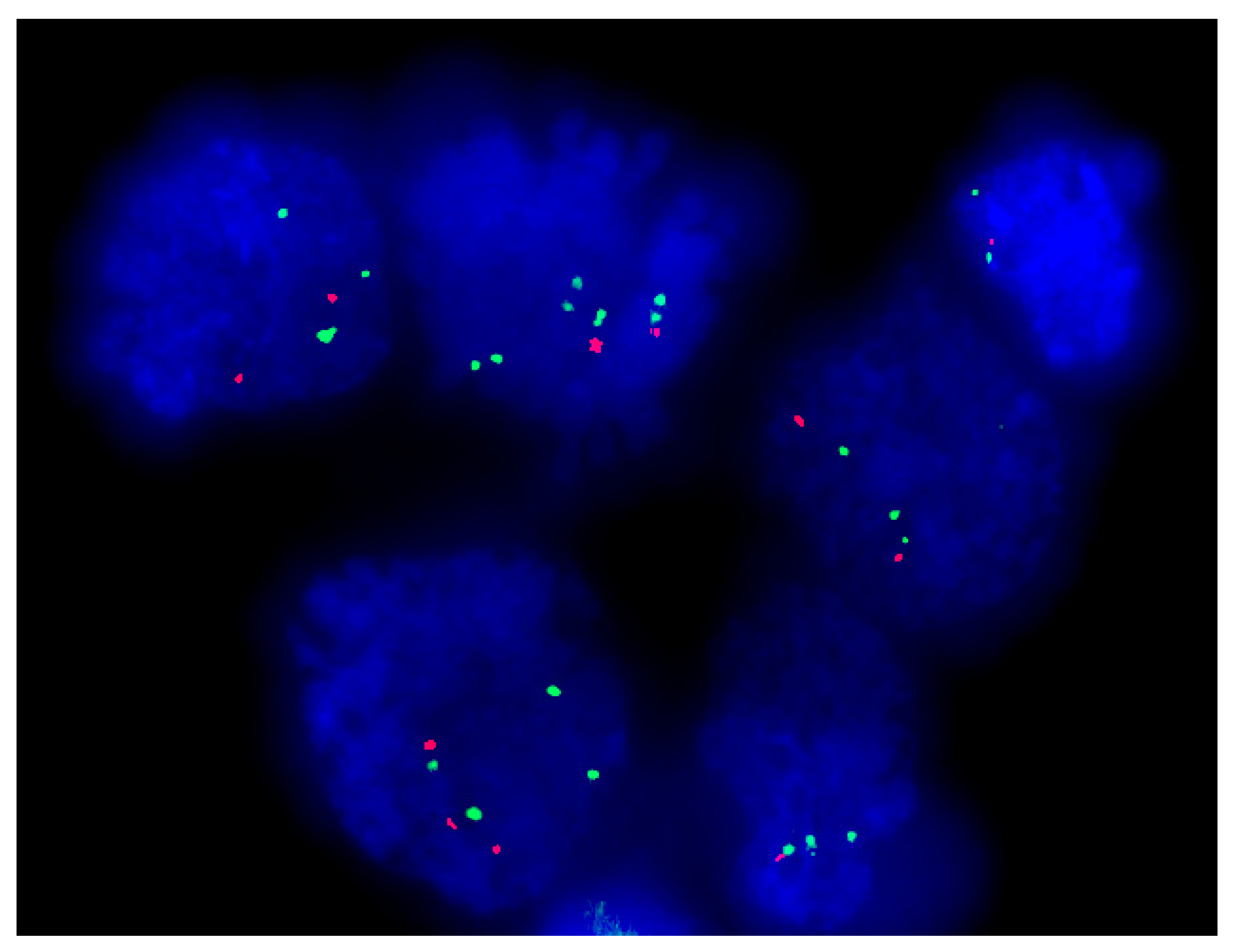 Ijms 21 08539 g001 Ijms 21 08539 g001