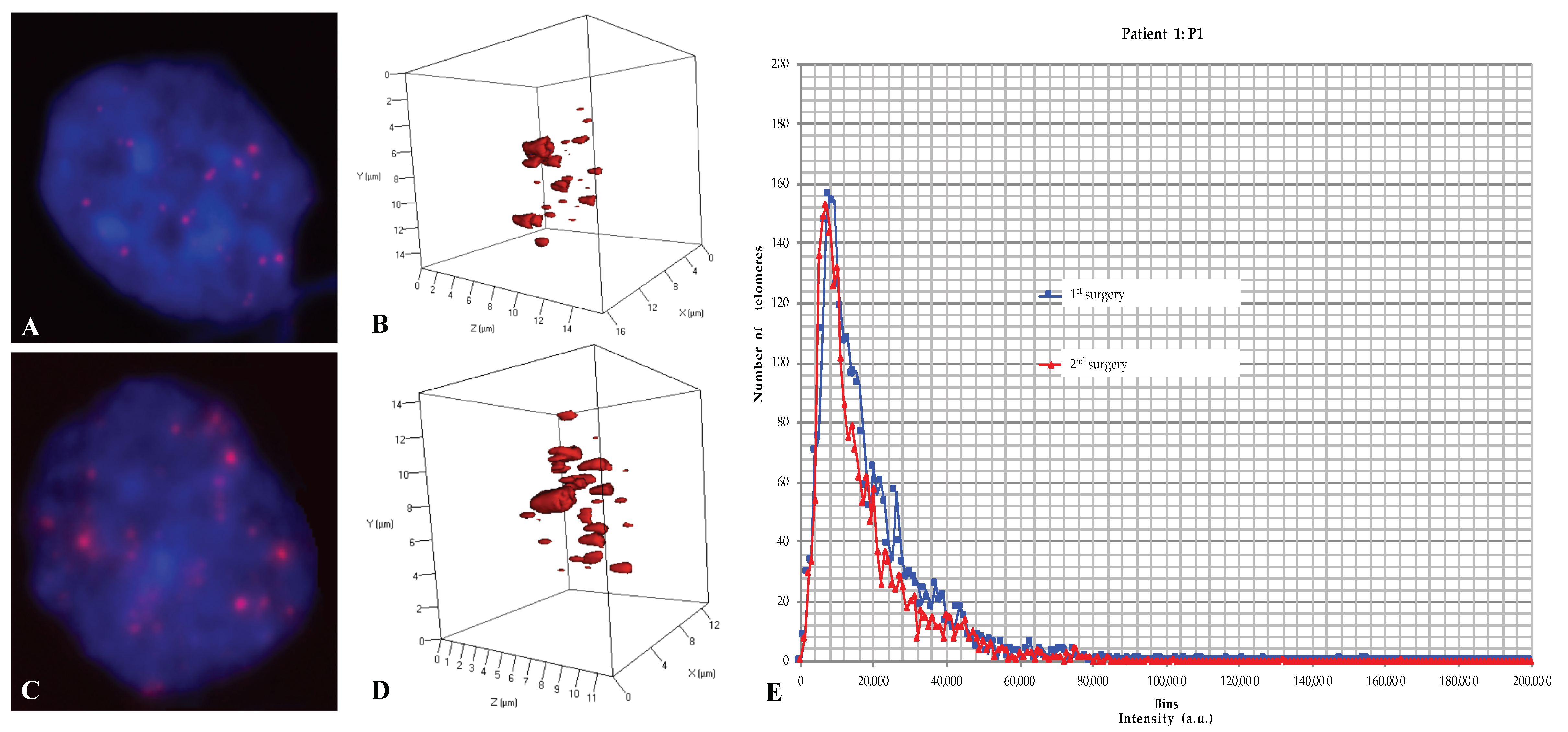 Ijms 21 08539 g003 Ijms 21 08539 g003