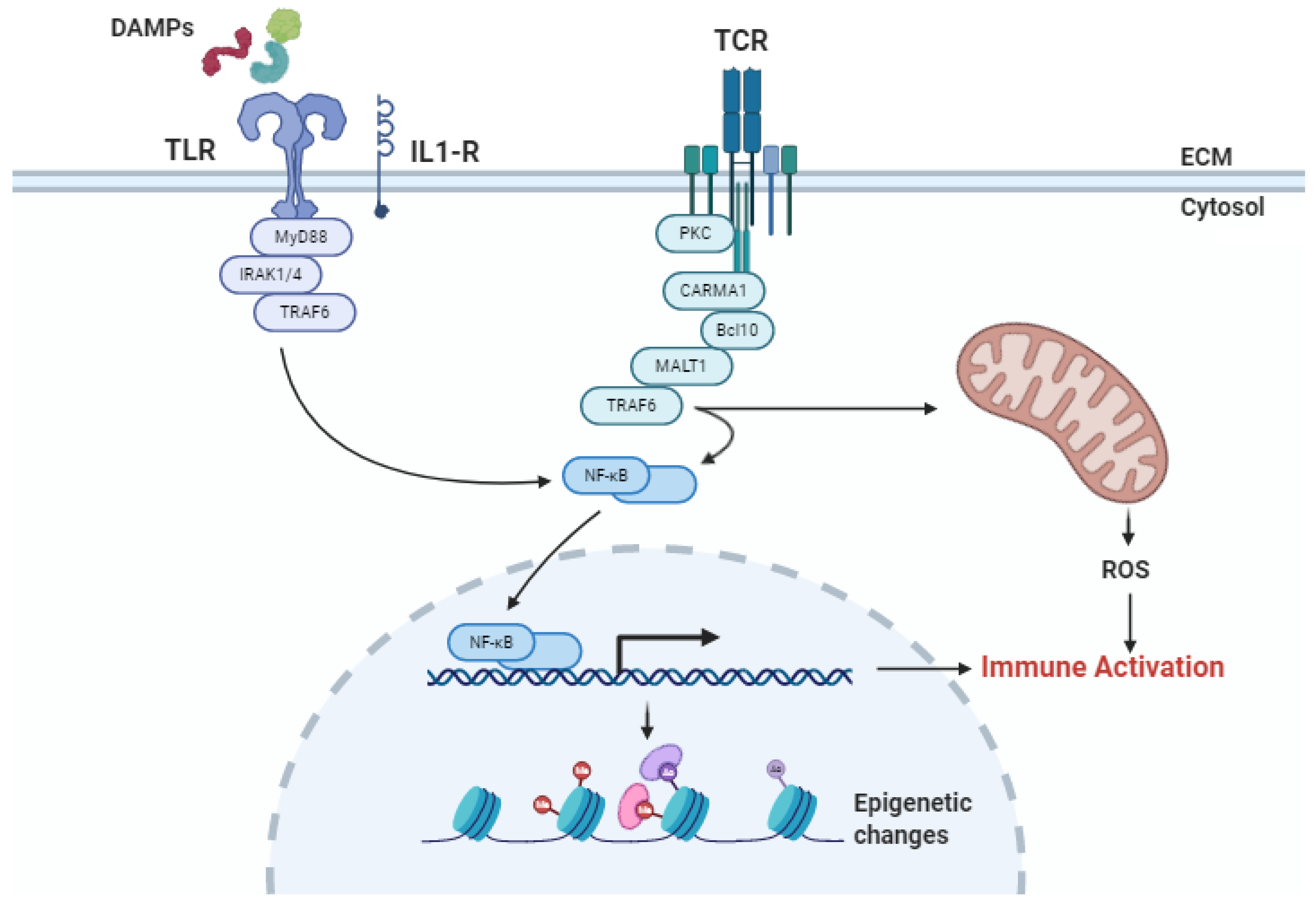 Ijms 21 08549 g002 Ijms 21 08549 g002