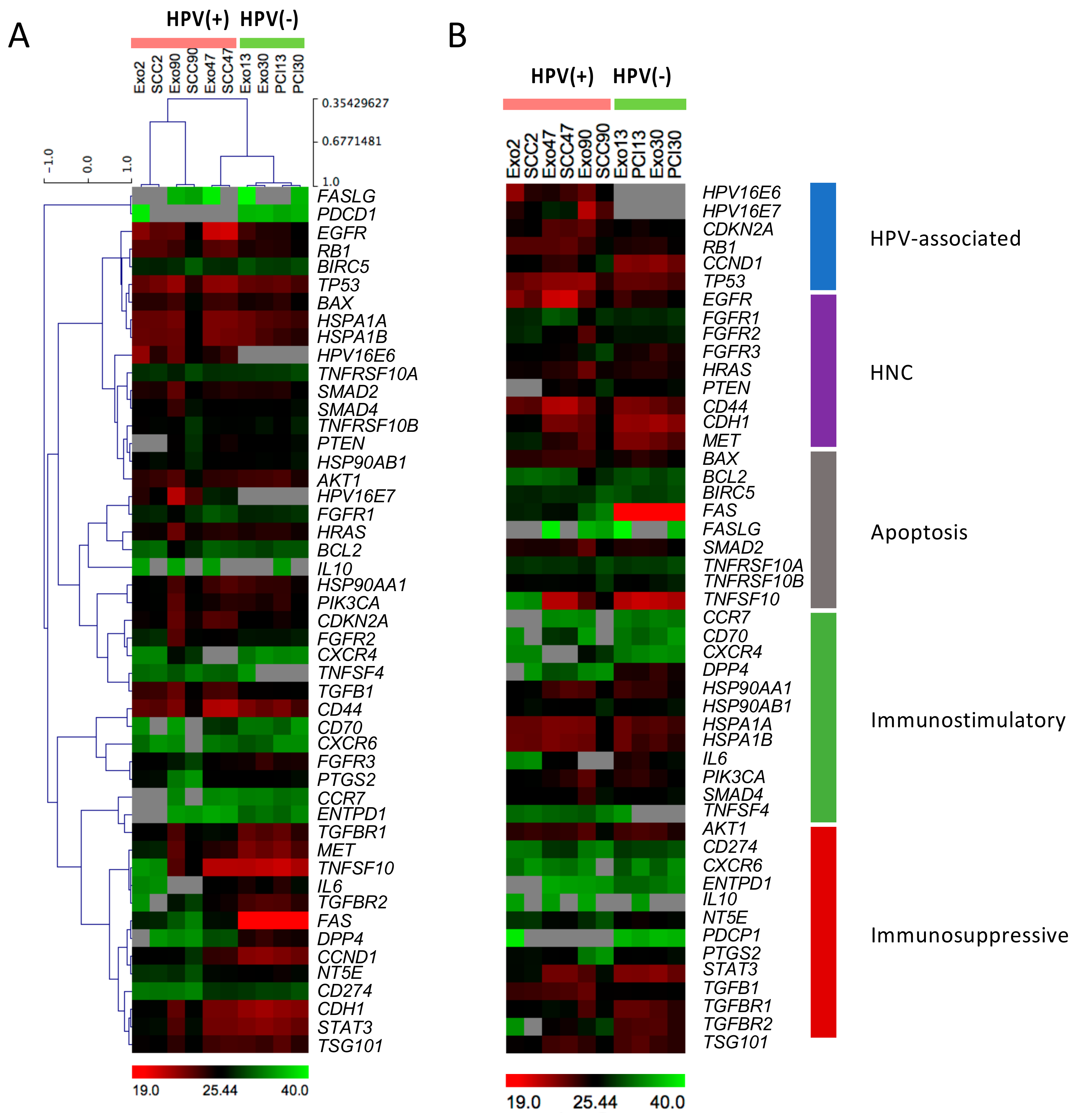 Ijms 21 08570 g001 Ijms 21 08570 g001