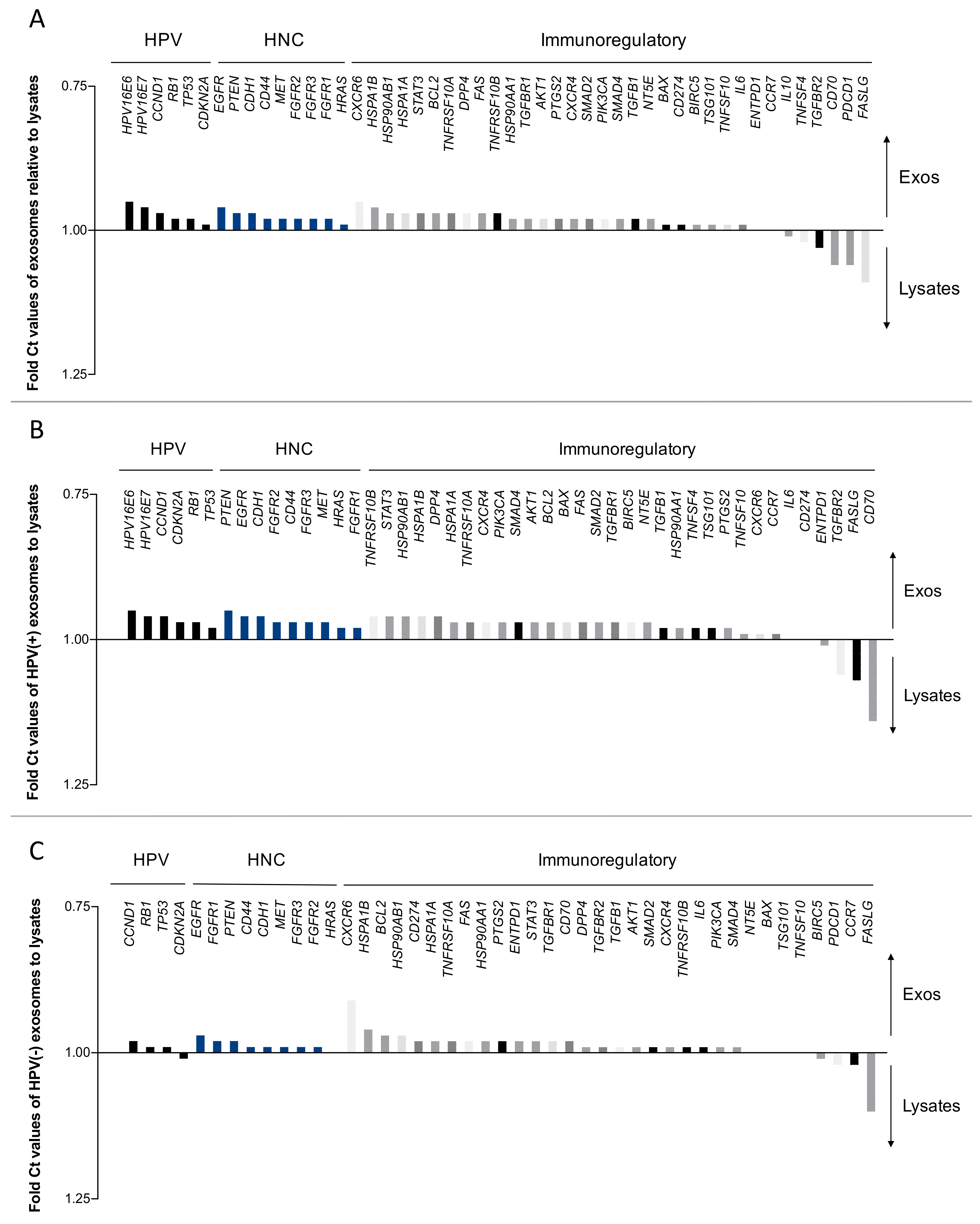 Ijms 21 08570 g002 Ijms 21 08570 g002