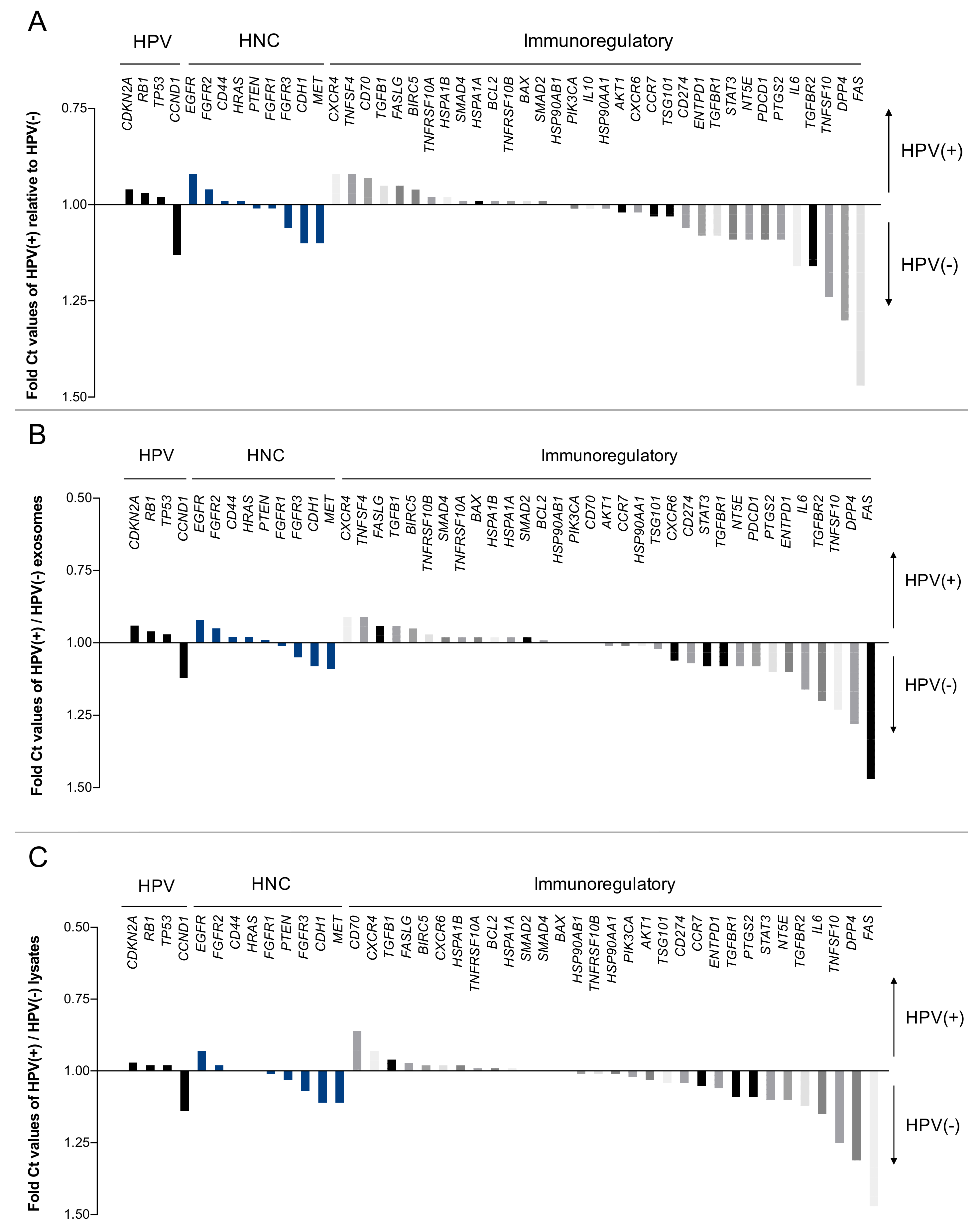 Ijms 21 08570 g003 Ijms 21 08570 g003
