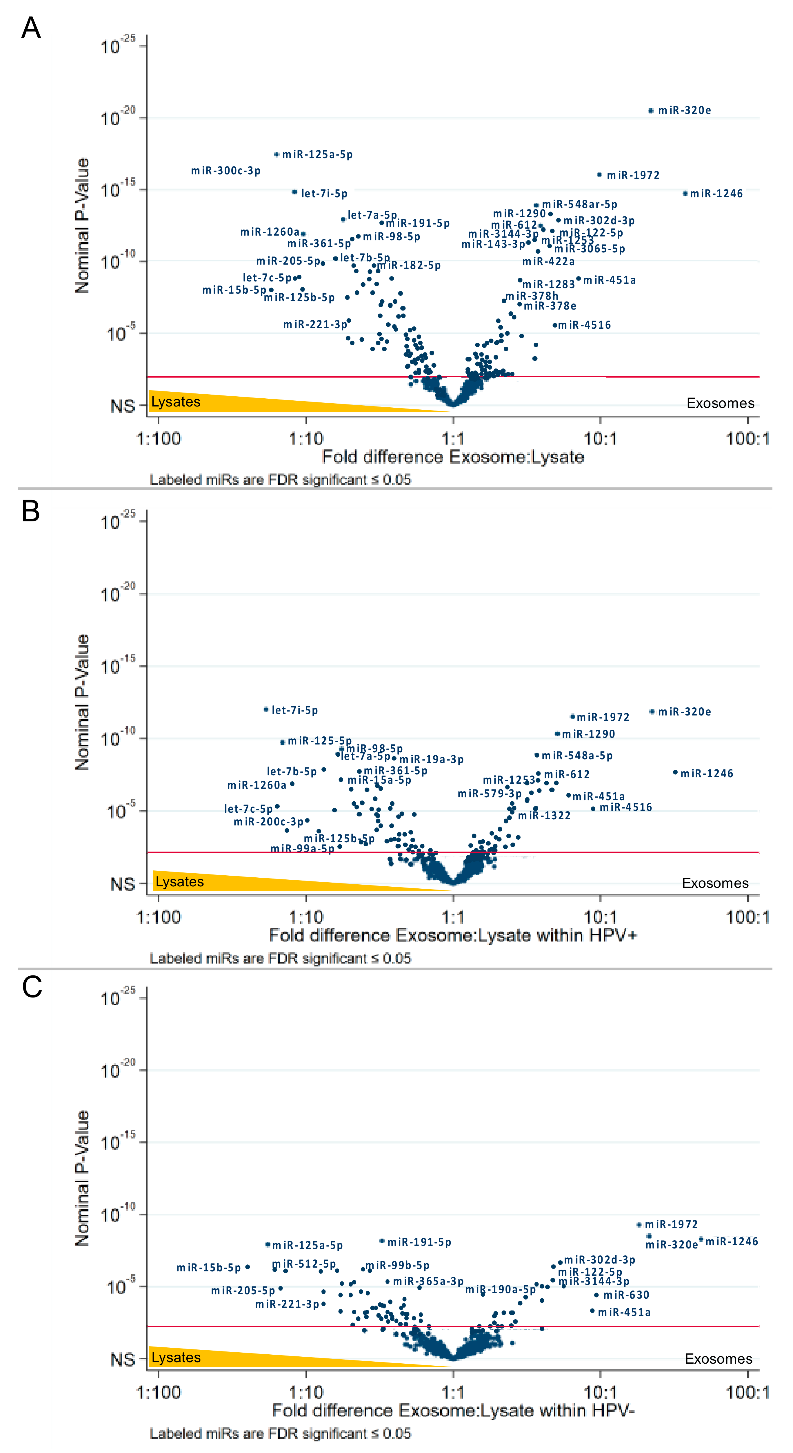 Ijms 21 08570 g004 Ijms 21 08570 g004