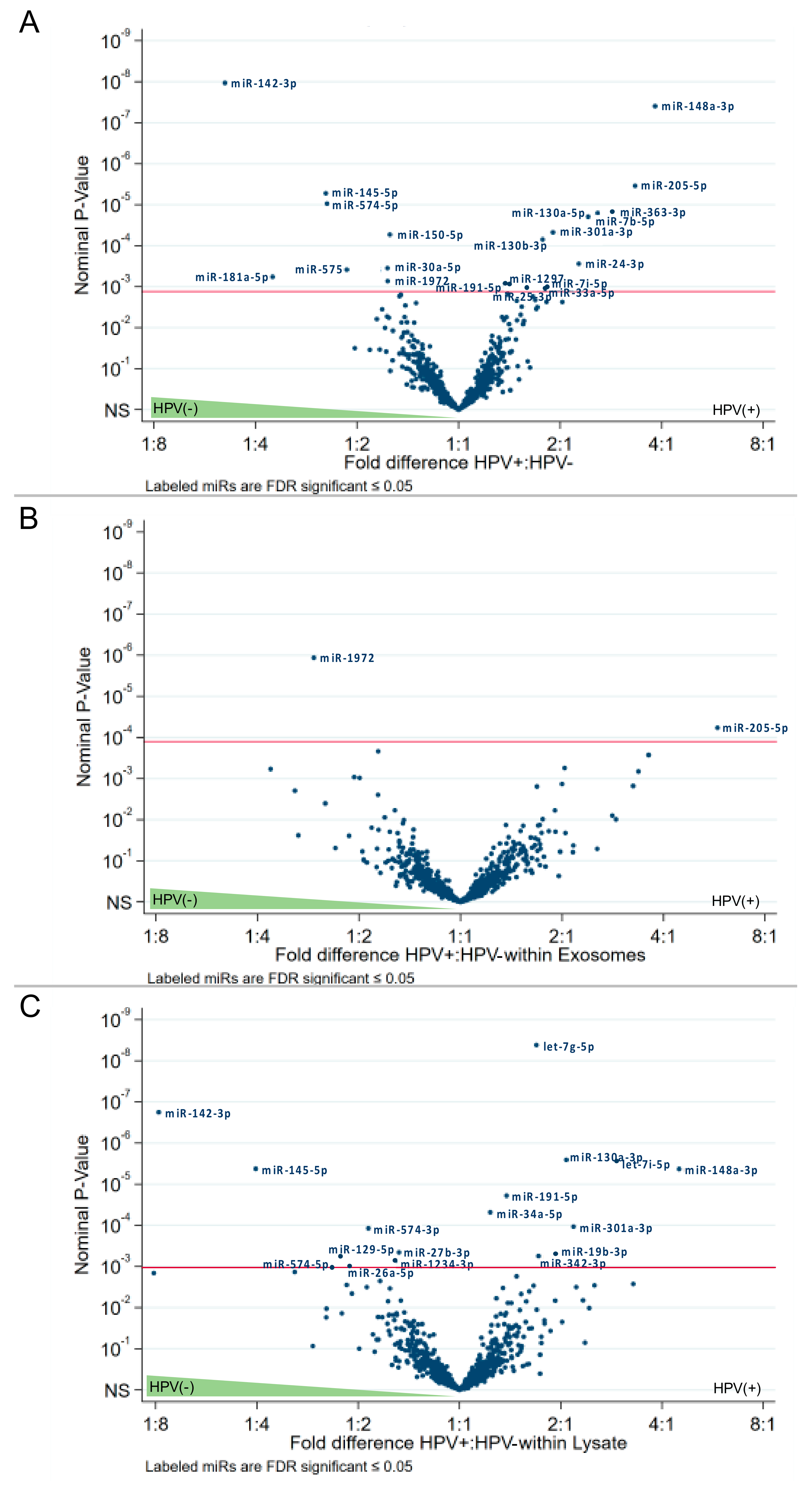 Ijms 21 08570 g005 Ijms 21 08570 g005