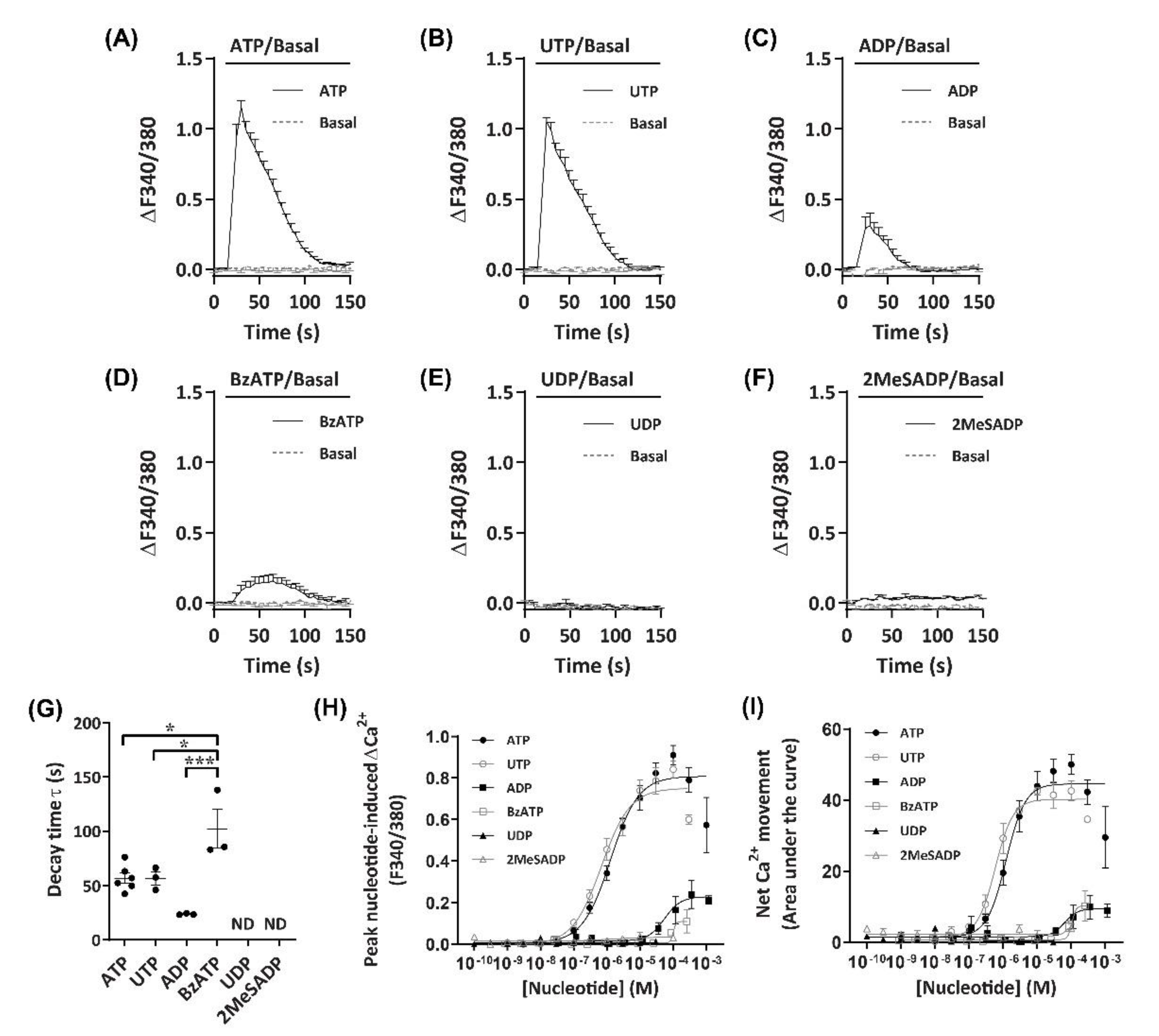 Ijms 21 08572 g002 Ijms 21 08572 g002