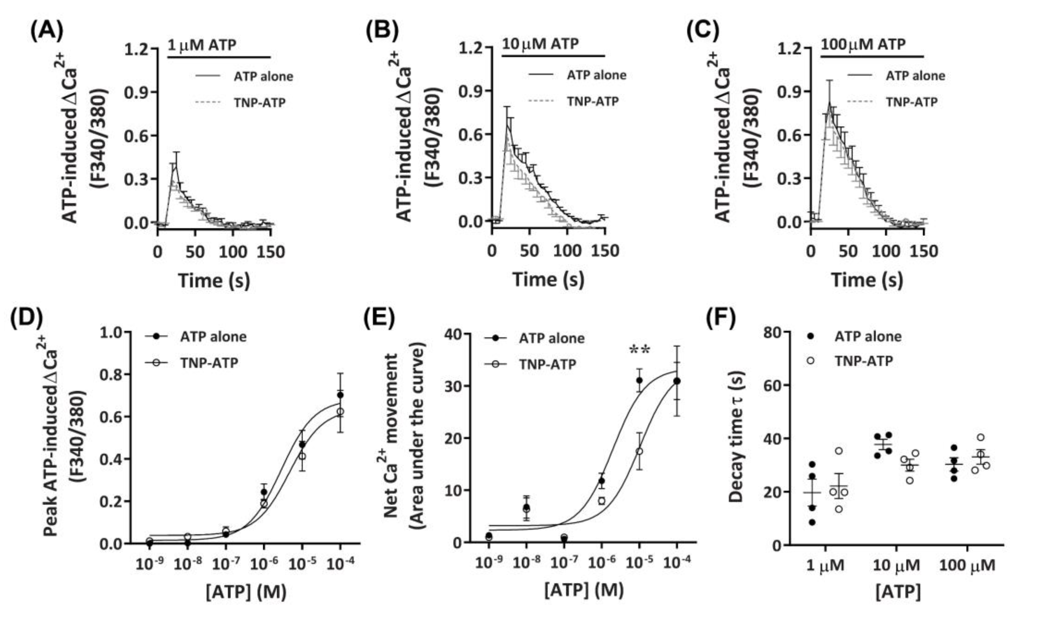 Ijms 21 08572 g003 Ijms 21 08572 g003
