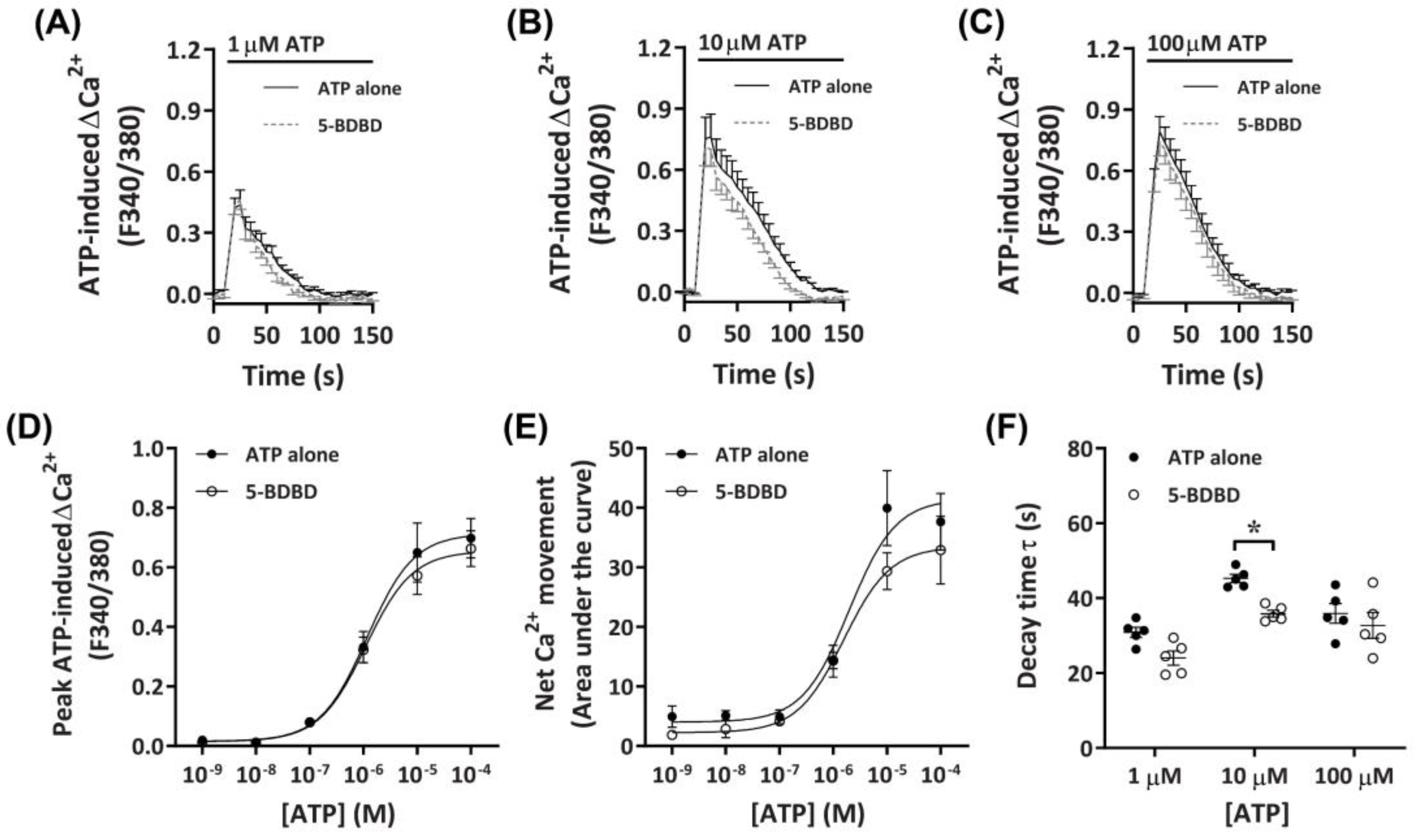 Ijms 21 08572 g005 Ijms 21 08572 g005