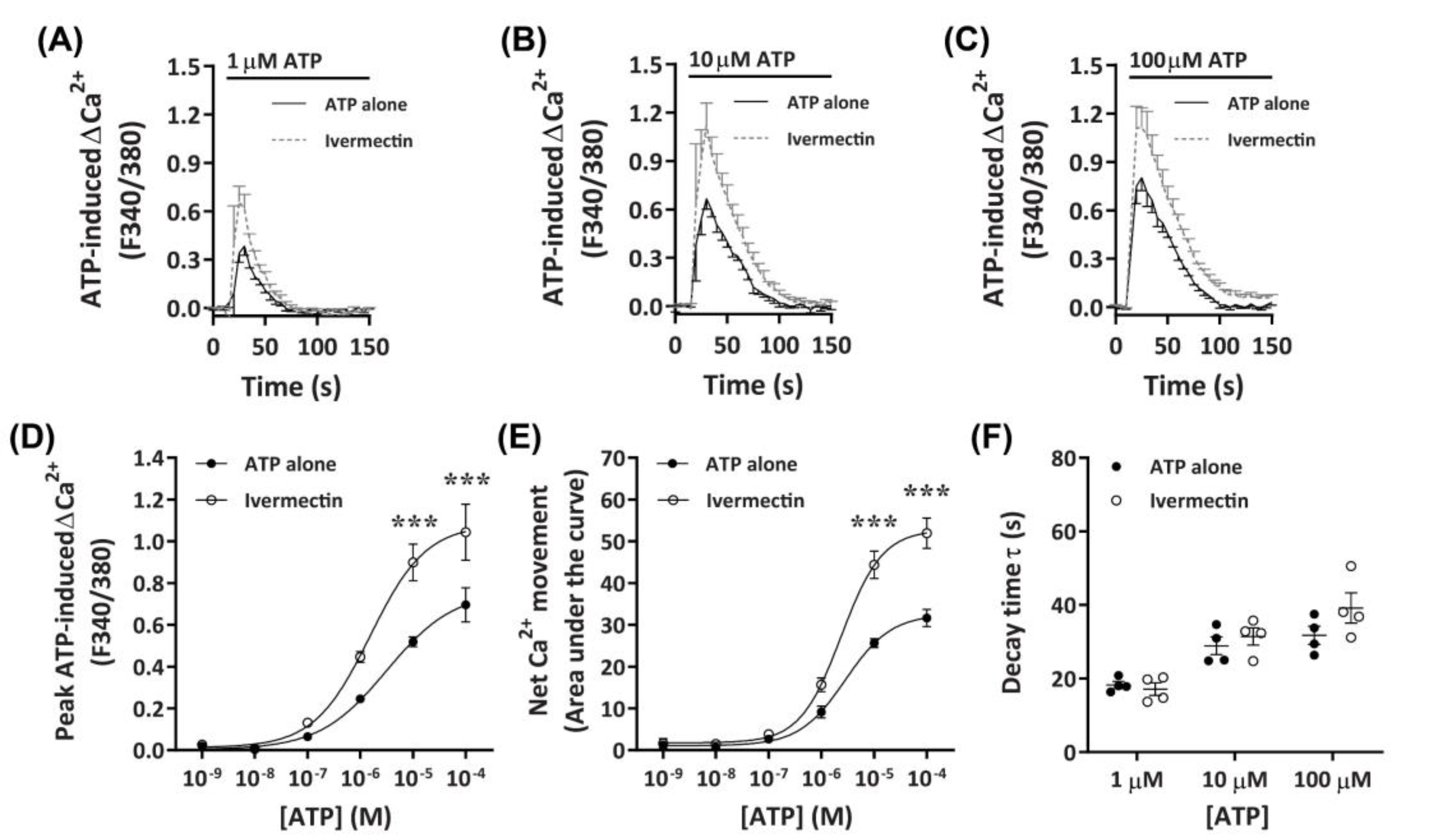 Ijms 21 08572 g006 Ijms 21 08572 g006