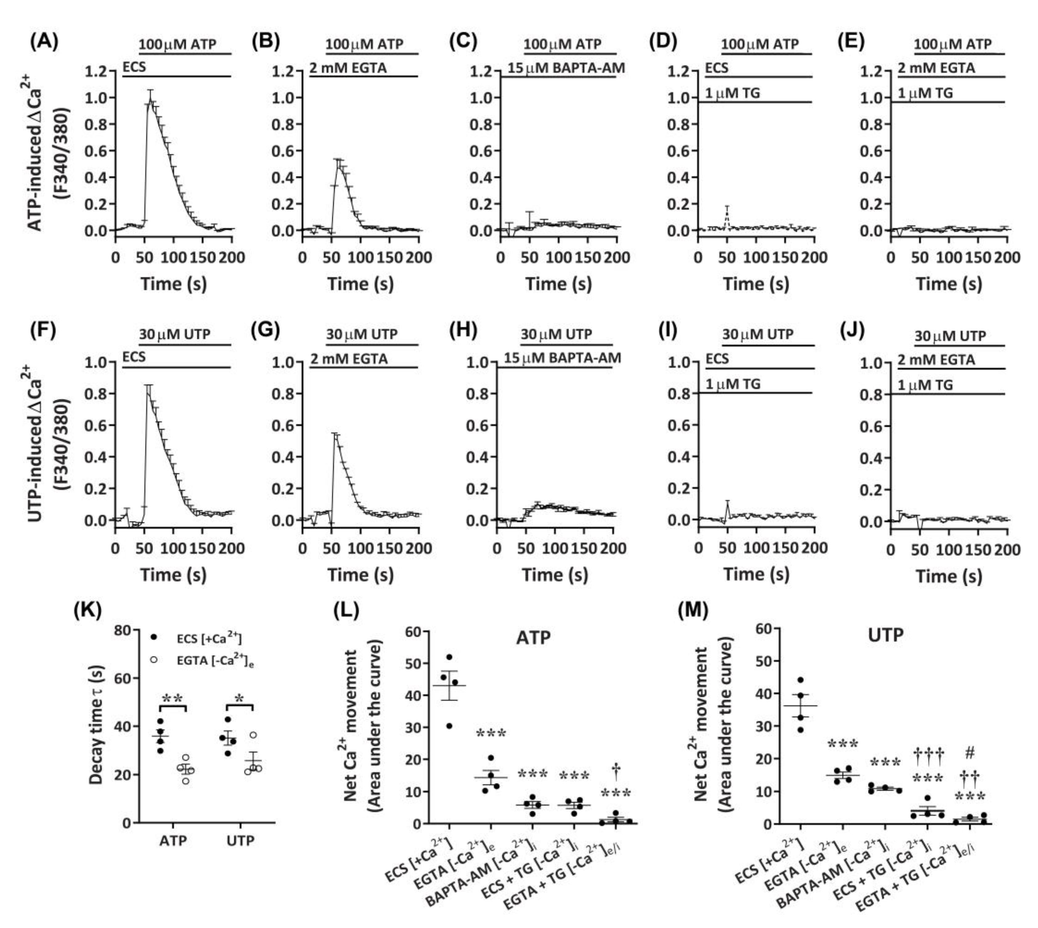 Ijms Free Full Text P2y2 And P2x4 Receptors Mediate Ca2 Mobilization In Dh Canine Macrophage Cells Html Ijms Free Full Text P2y2 And P2x4 Receptors Mediate Ca2 Mobilization In Dh Canine Macrophage Cells Html