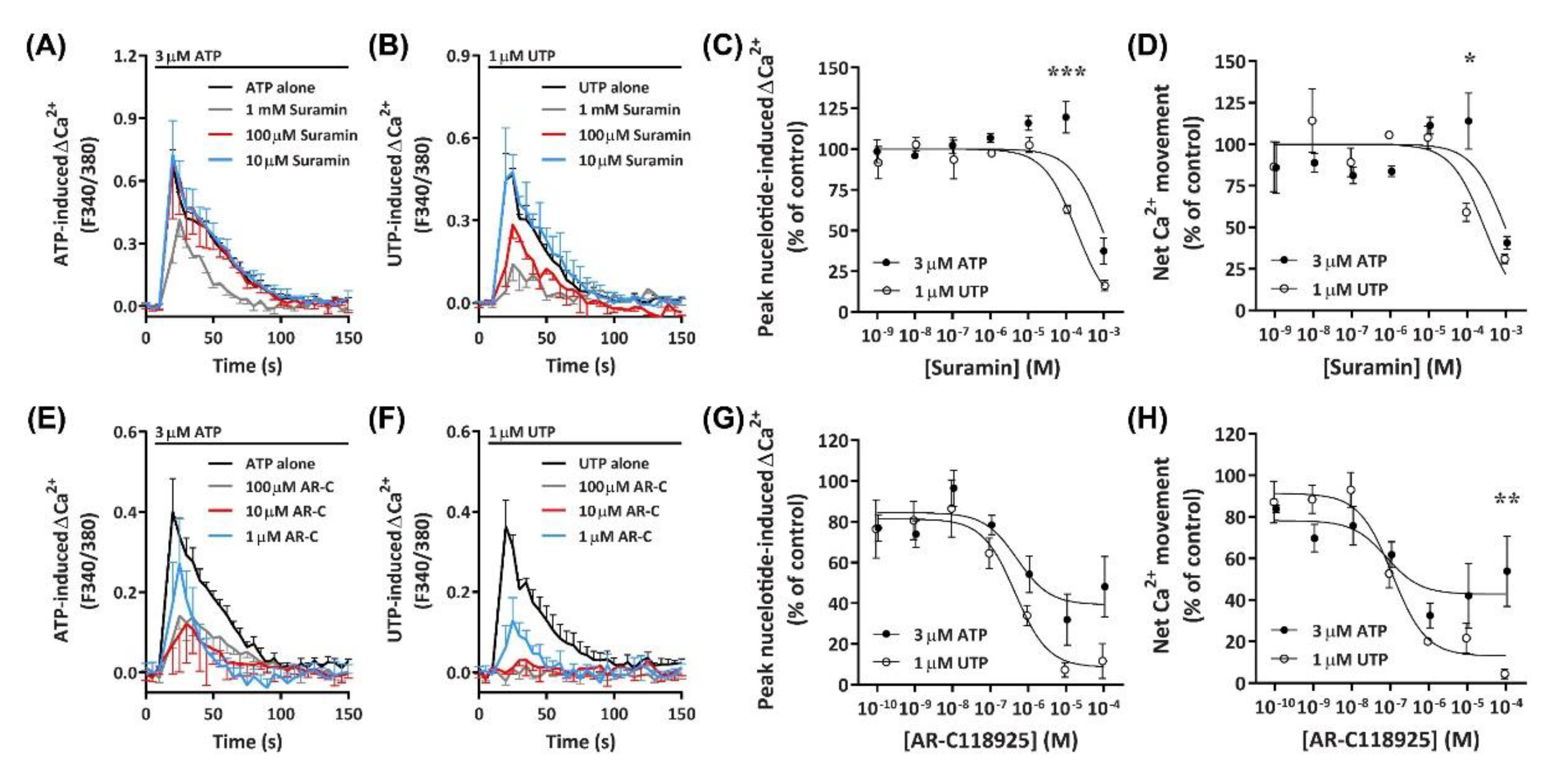 Ijms 21 08572 g008 Ijms 21 08572 g008