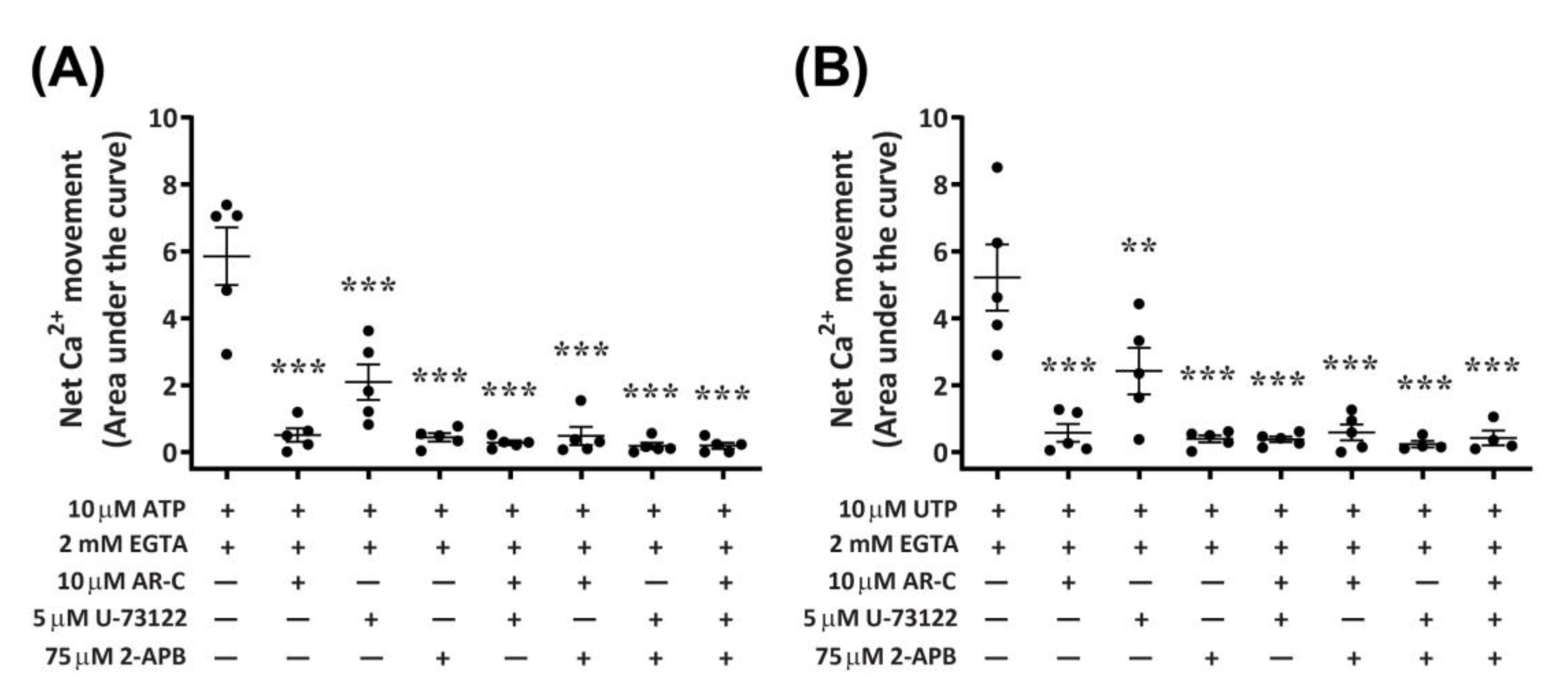 Ijms 21 08572 g010 Ijms 21 08572 g010