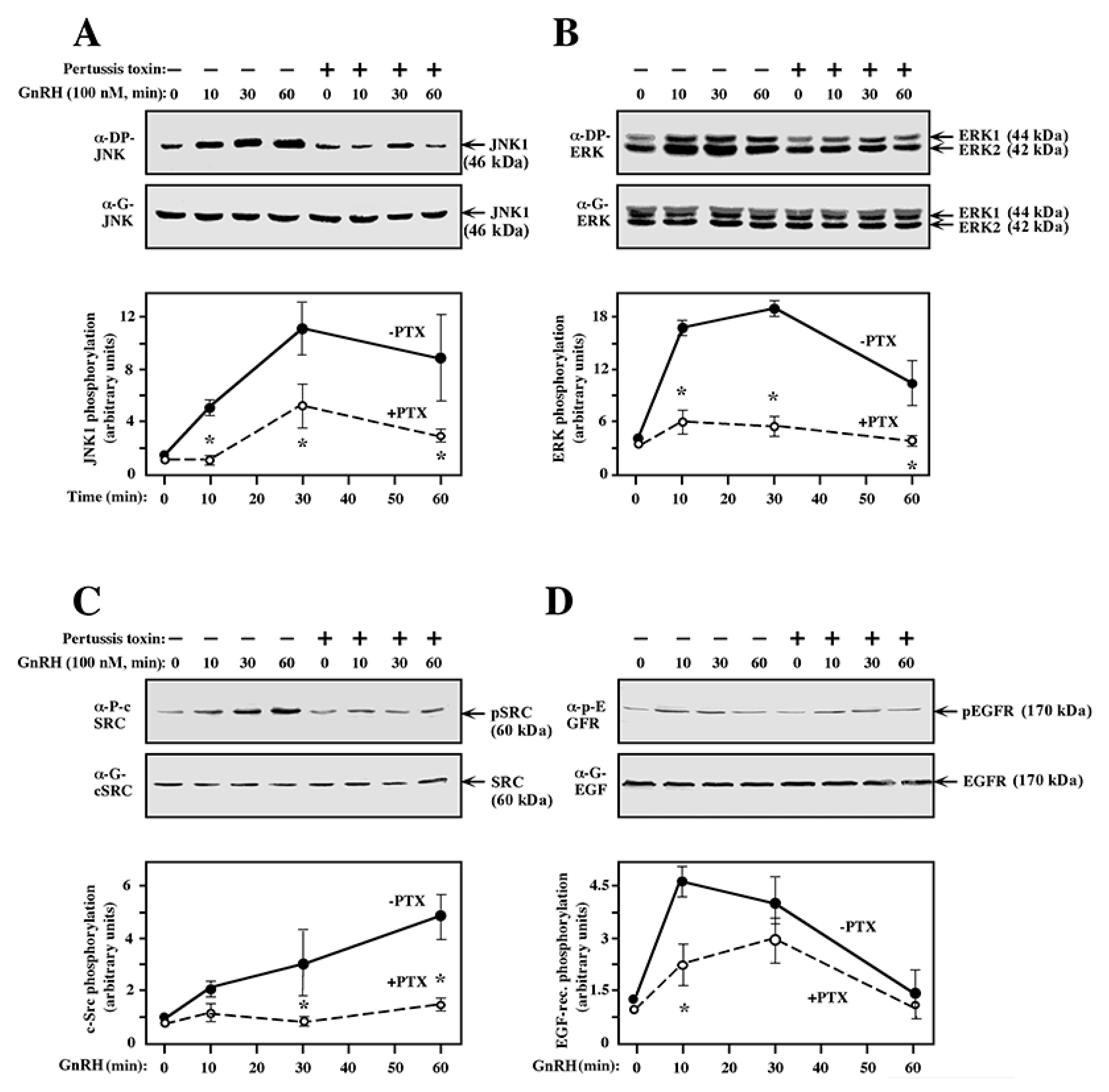 Ijms 21 08575 g009 Ijms 21 08575 g009