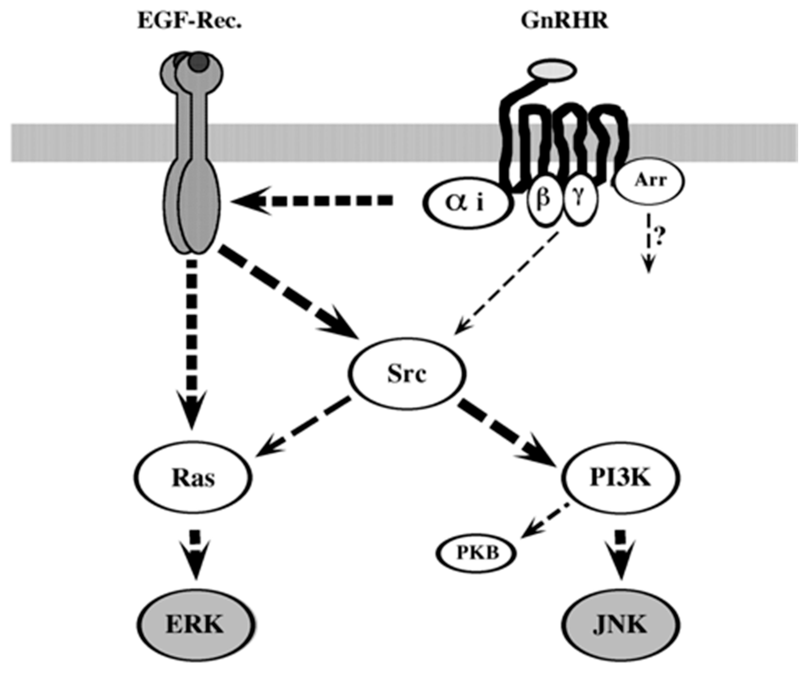 Ijms 21 08575 g010 Ijms 21 08575 g010
