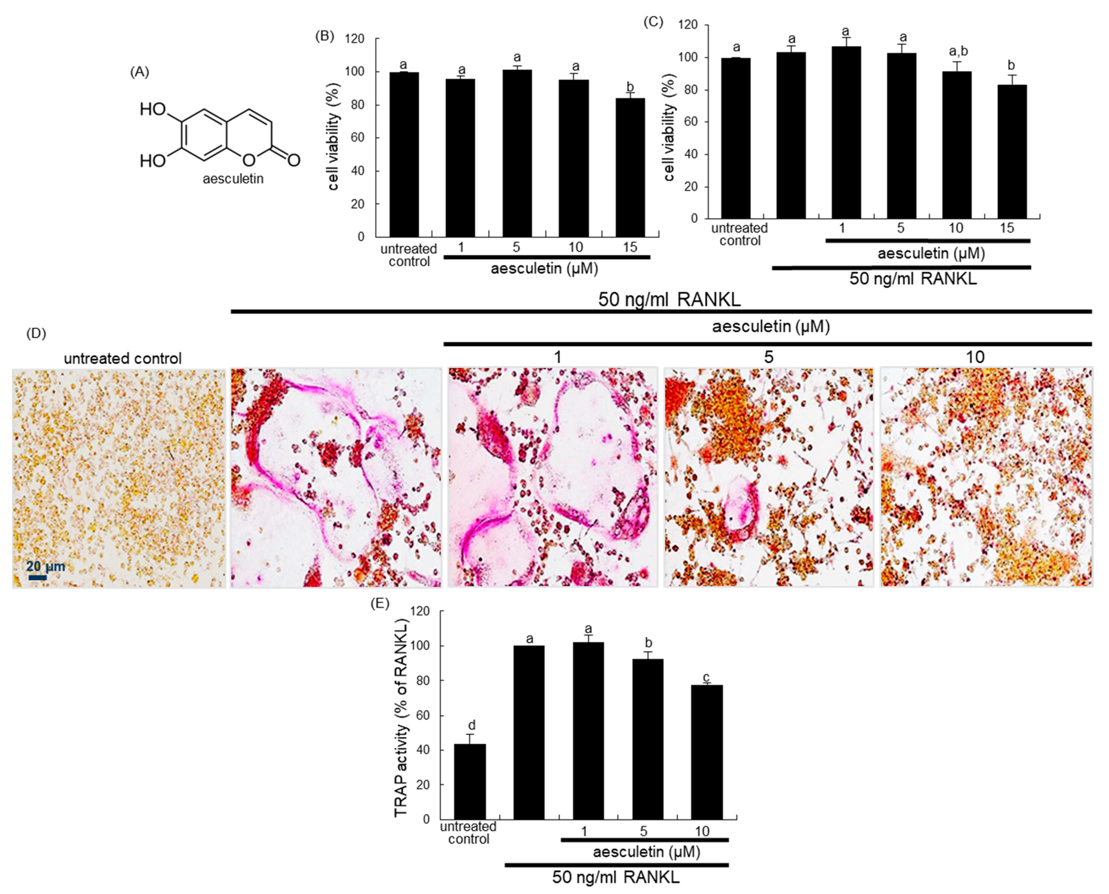 Ijms 21 08581 g001 Ijms 21 08581 g001