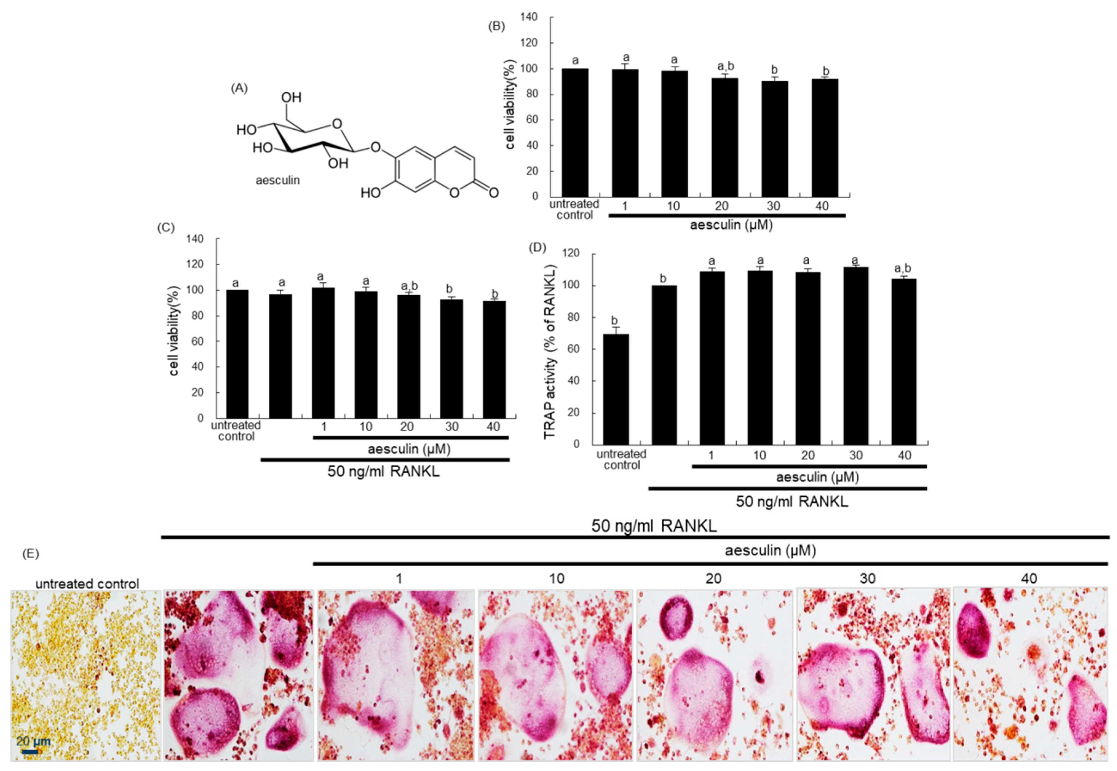 Ijms 21 08581 g002 Ijms 21 08581 g002