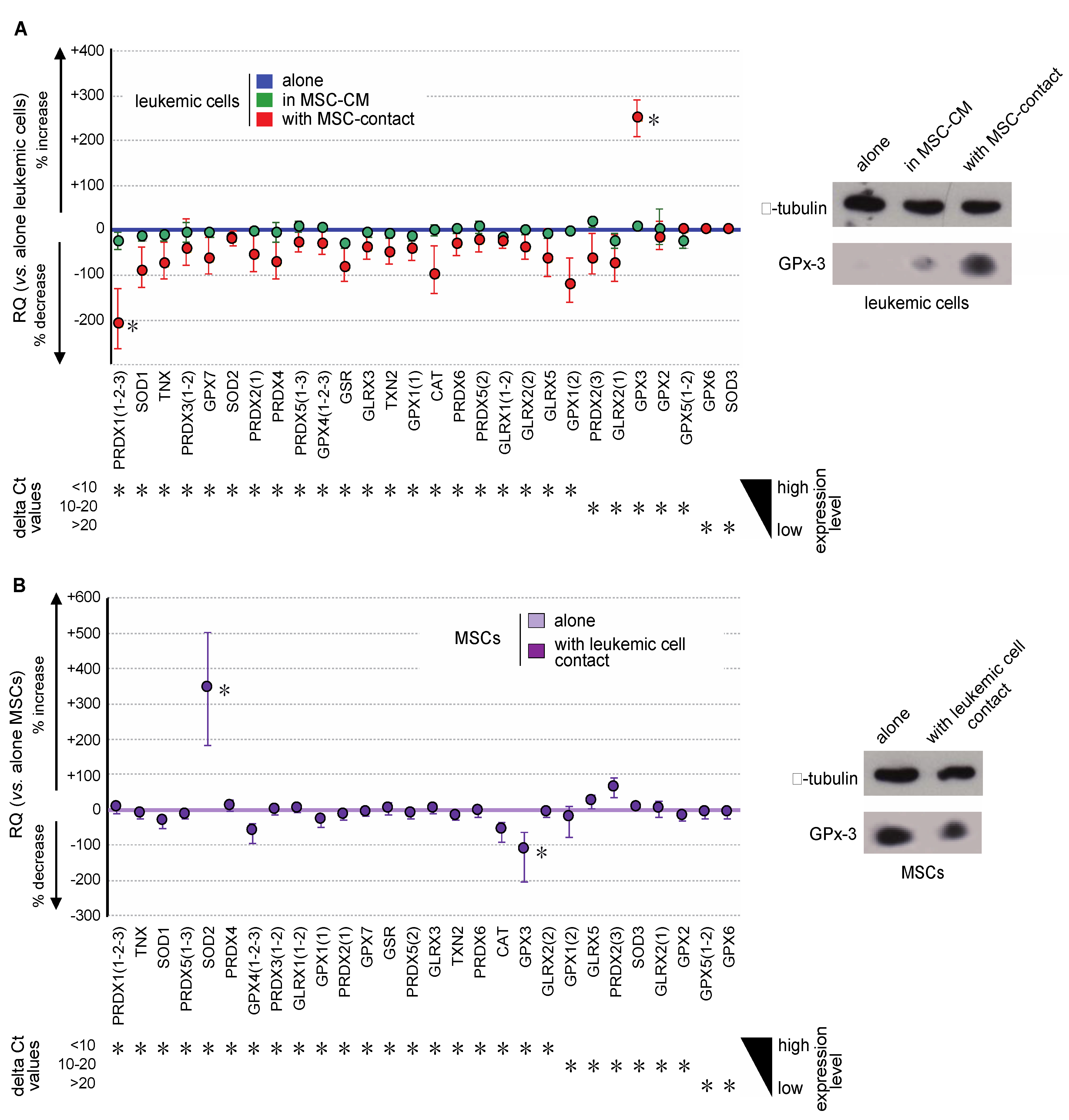 Ijms 21 08584 g005 Ijms 21 08584 g005