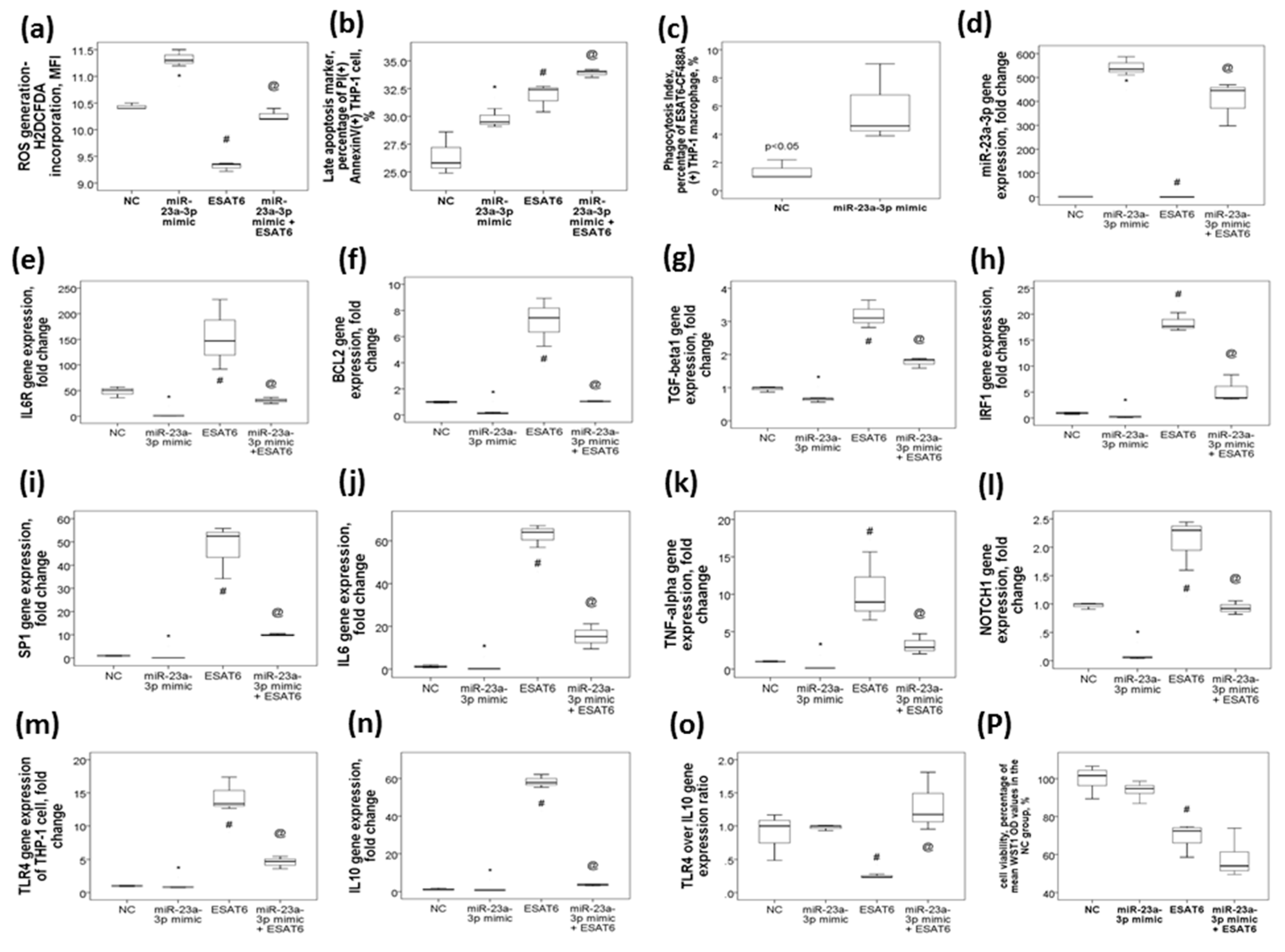 Ijms 21 08587 g004 Ijms 21 08587 g004