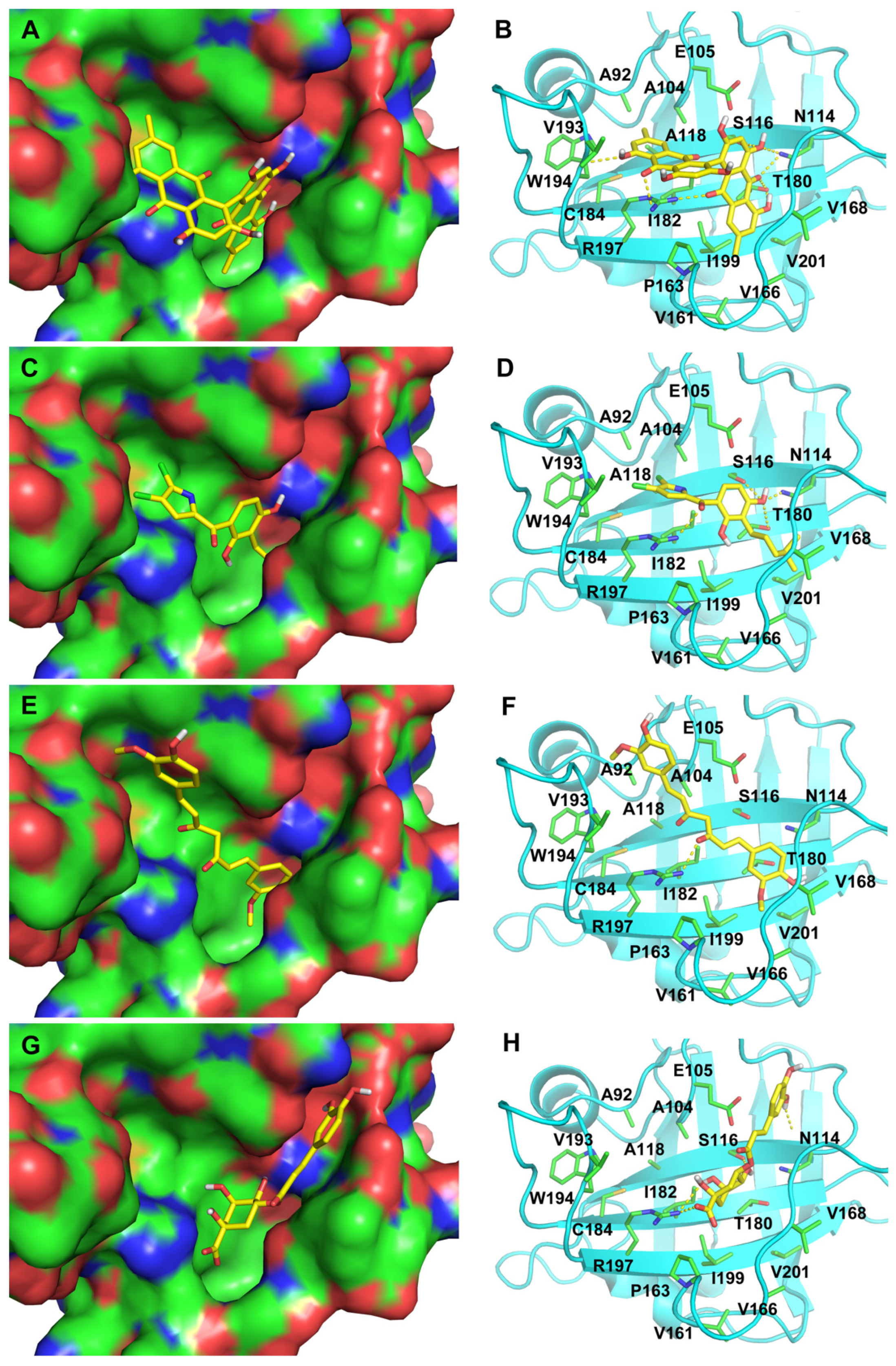 Ijms 21 08601 g003 Ijms 21 08601 g003