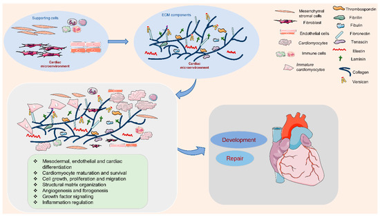 Ijms 21 08610 g001 550