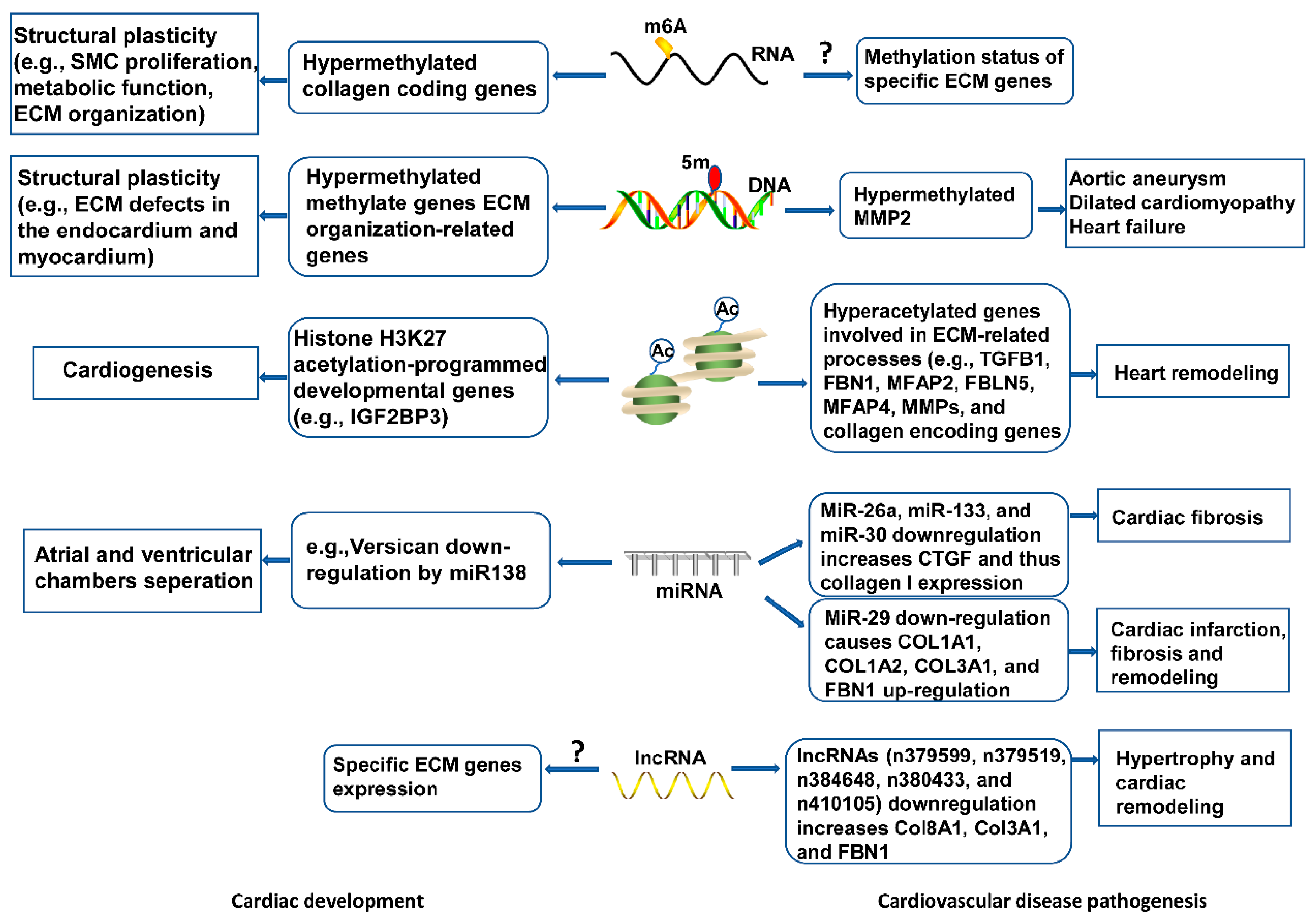 https://www.mdpi.com/ijms/ijms-21-08610/article_deploy/html/images/ijms-21-08610-g003.png