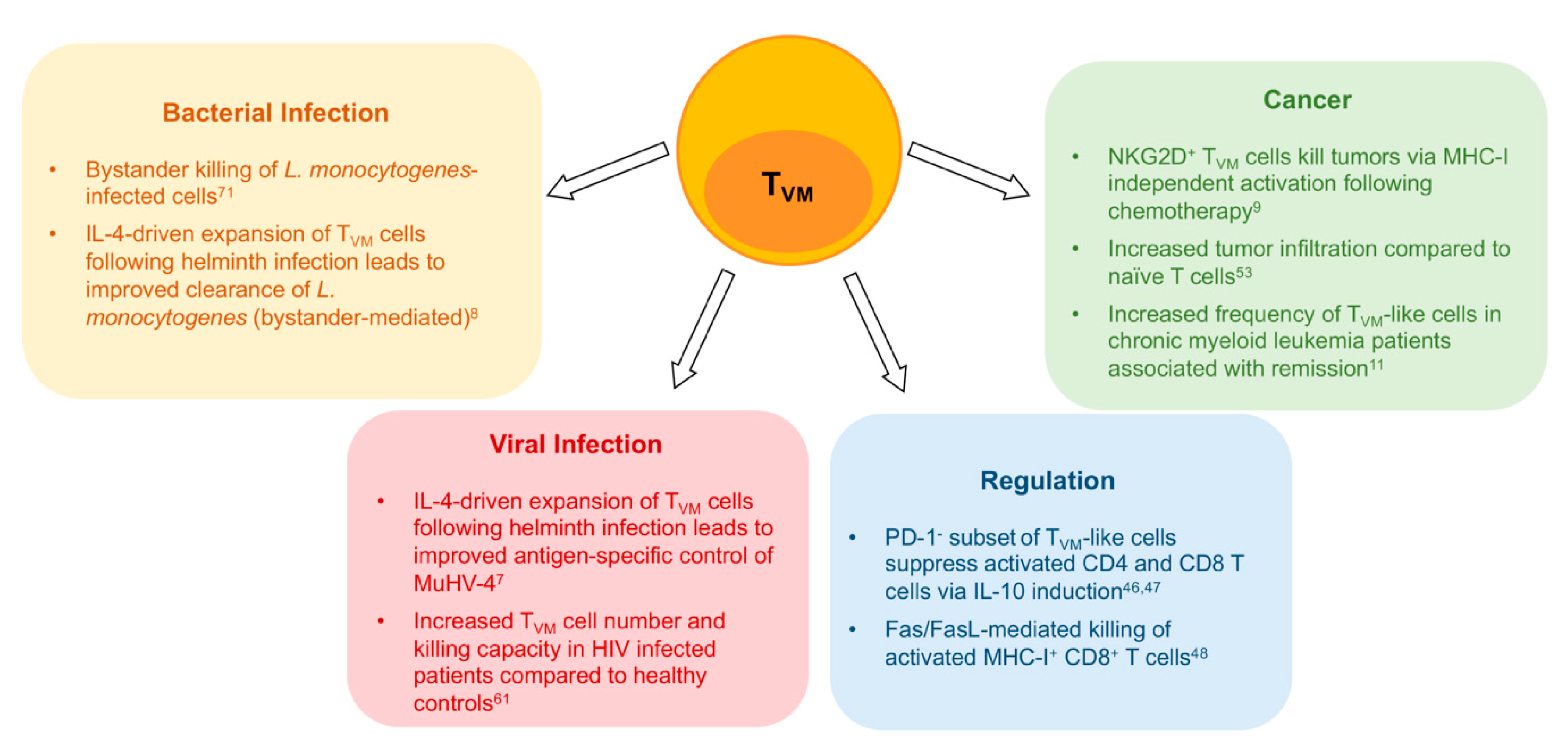 Ijms 21 08626 g002 Ijms 21 08626 g002