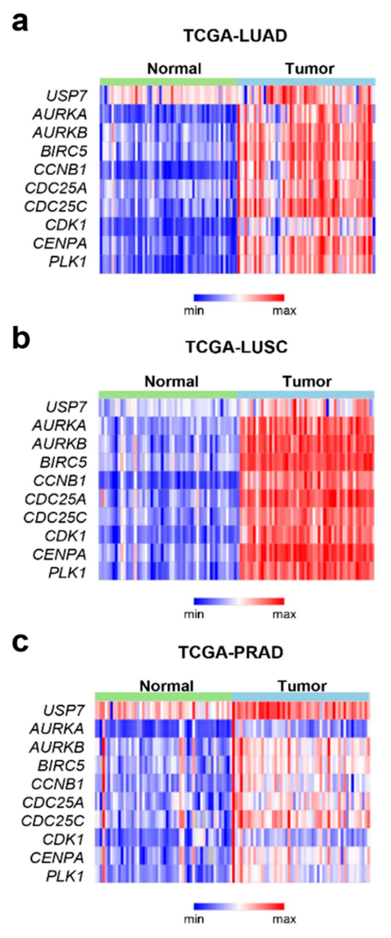 ijms free full text combination inhibitors usp7 ijms free full text combination inhibitors usp7