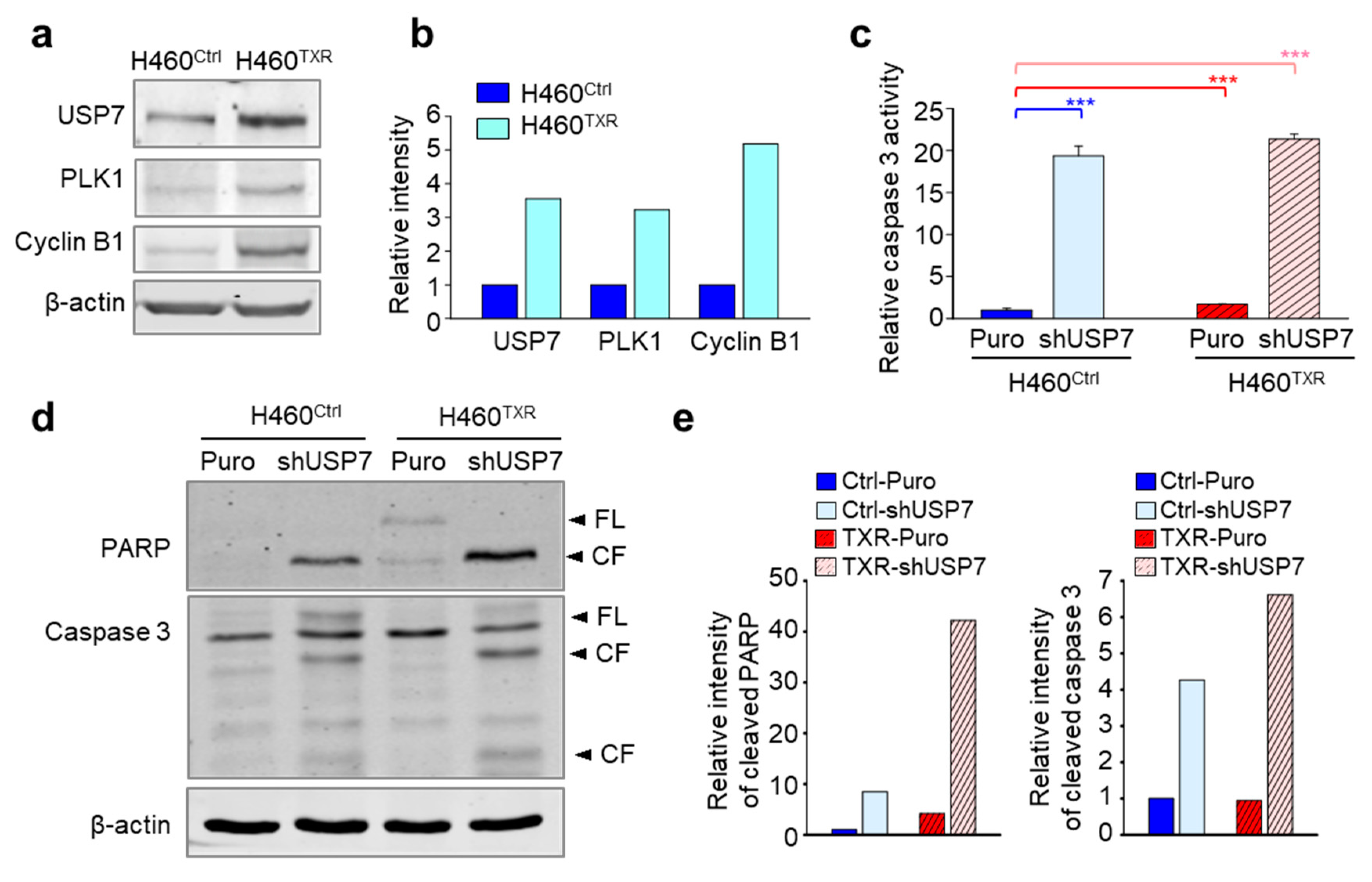 Ijms 21 08629 g004 Ijms 21 08629 g004