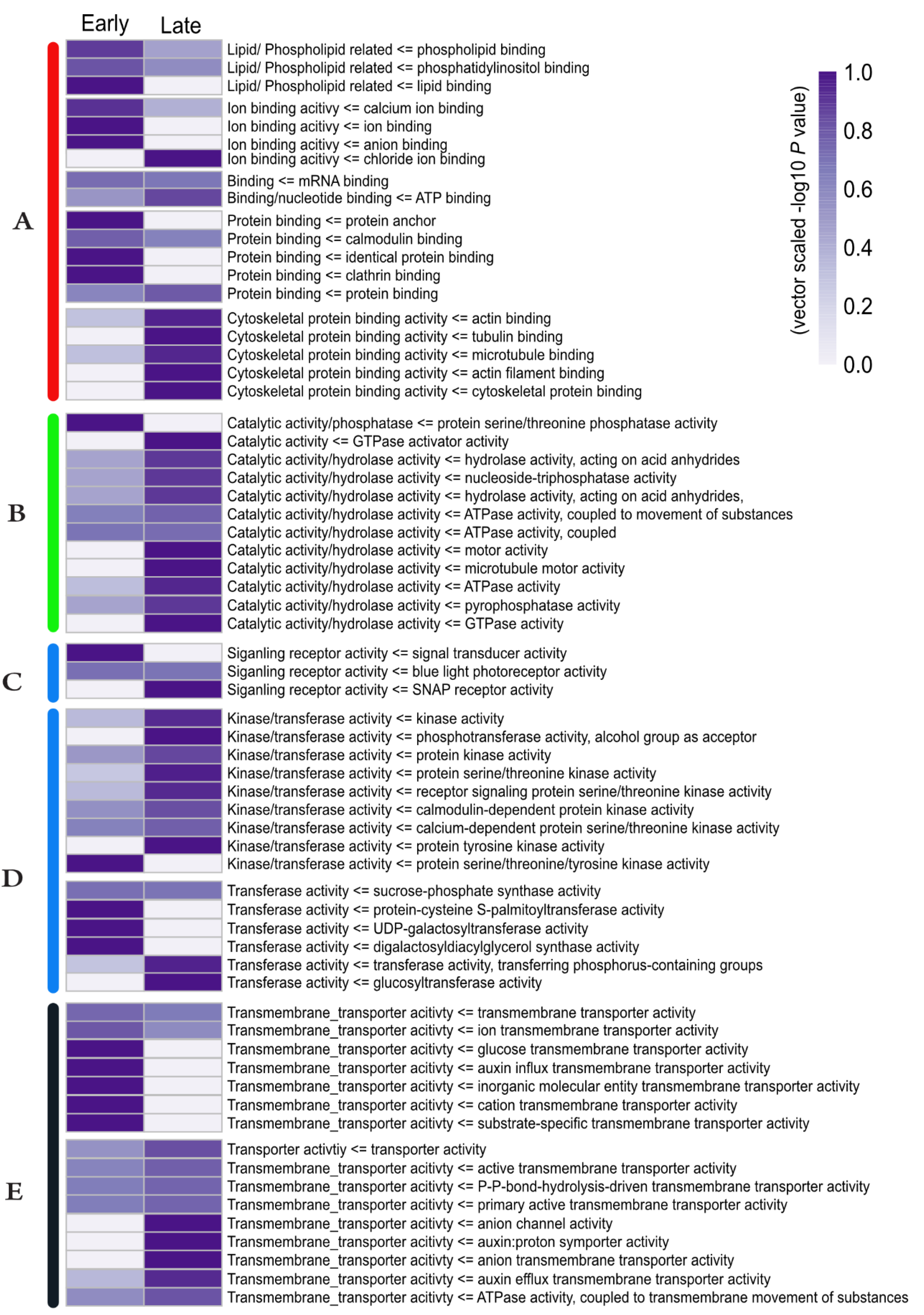 Ijms 21 08631 g003 Ijms 21 08631 g003