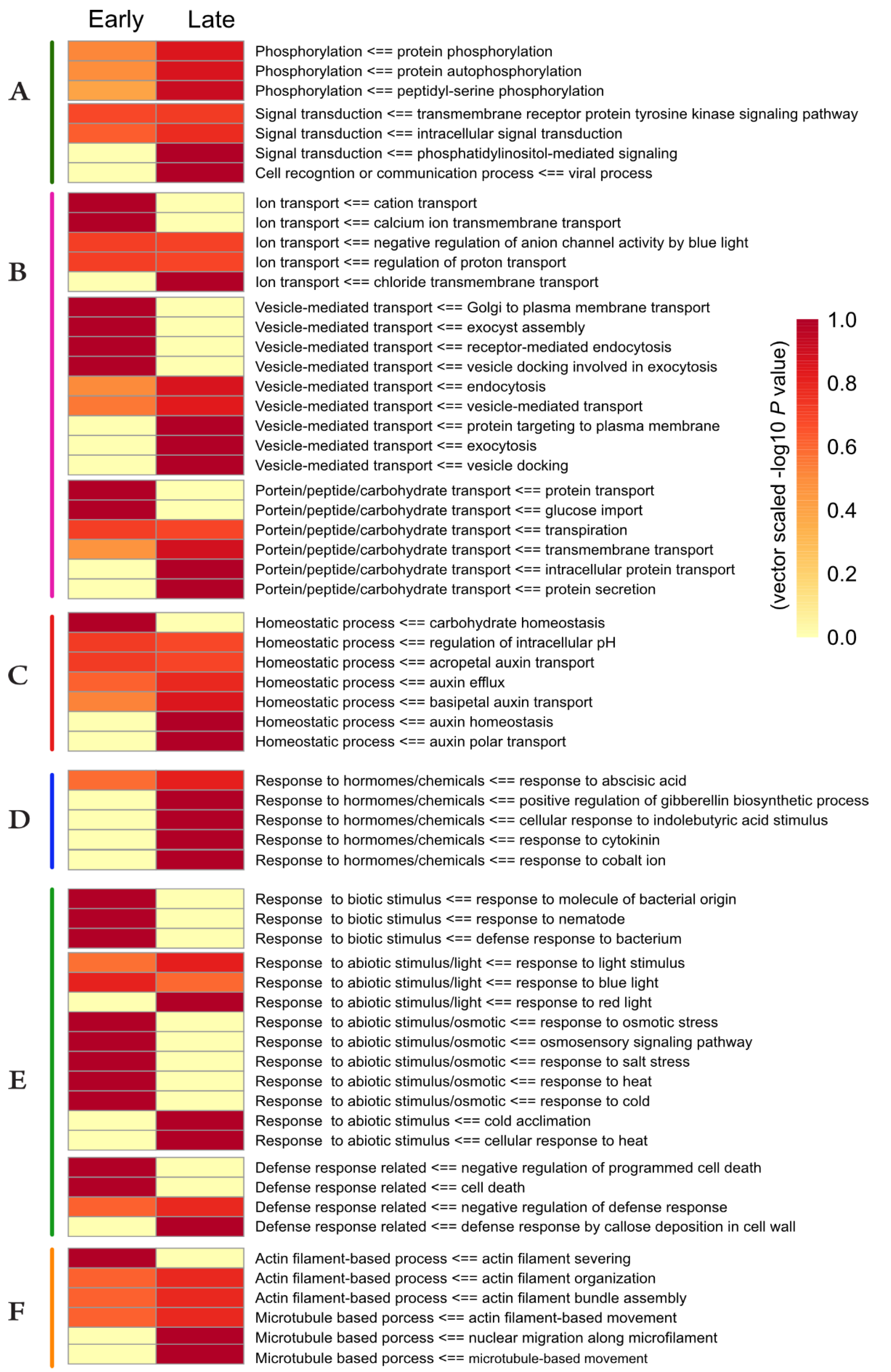 Ijms 21 08631 g004 Ijms 21 08631 g004
