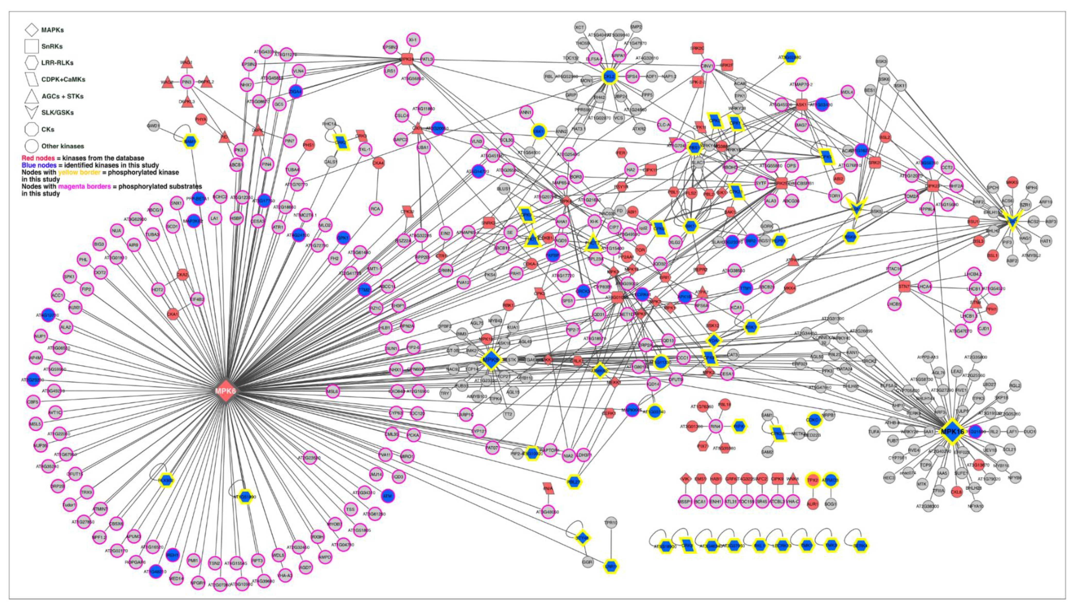 Ijms 21 08631 g006 Ijms 21 08631 g006