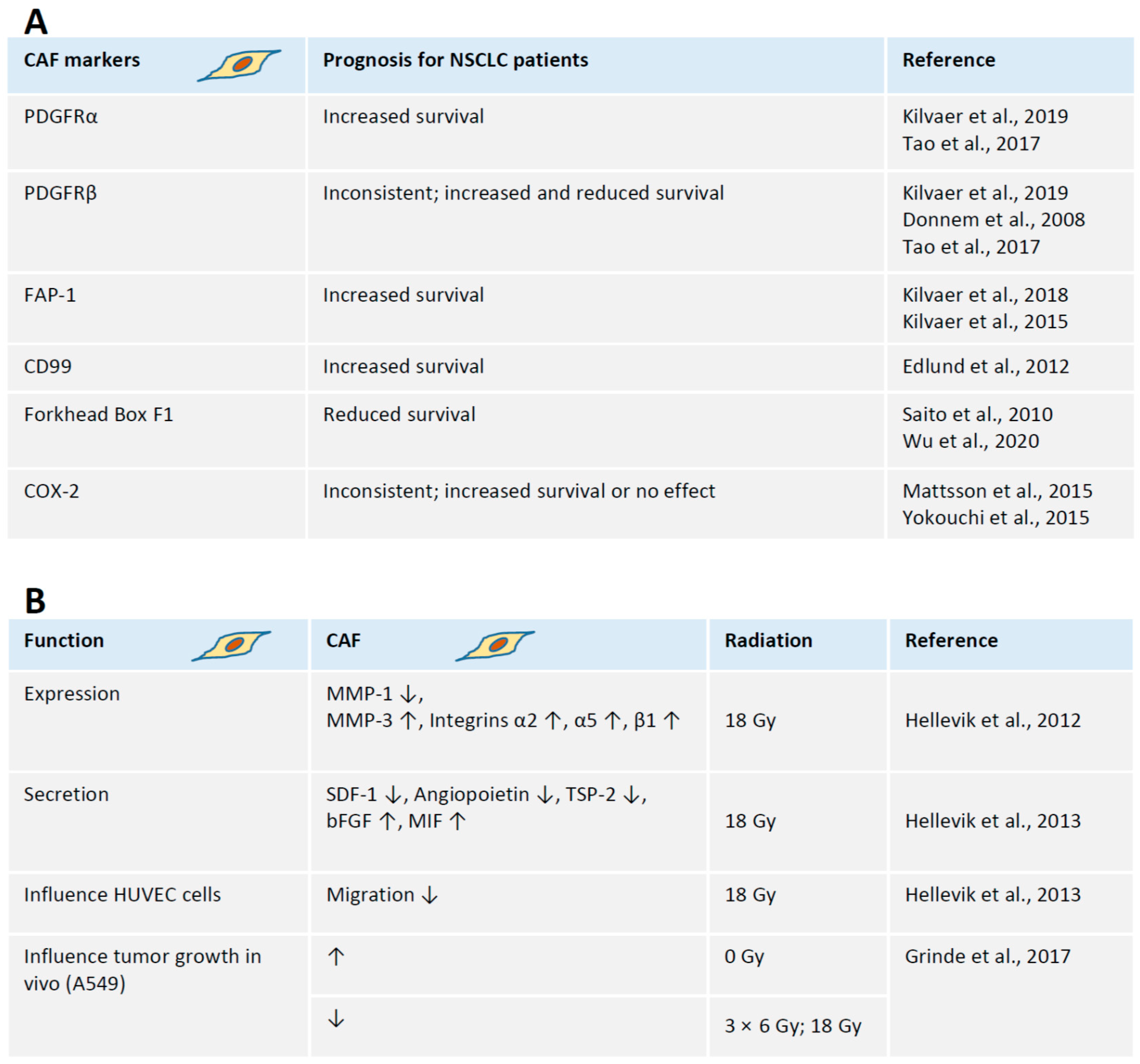 Ijms 21 08635 g001 Ijms 21 08635 g001