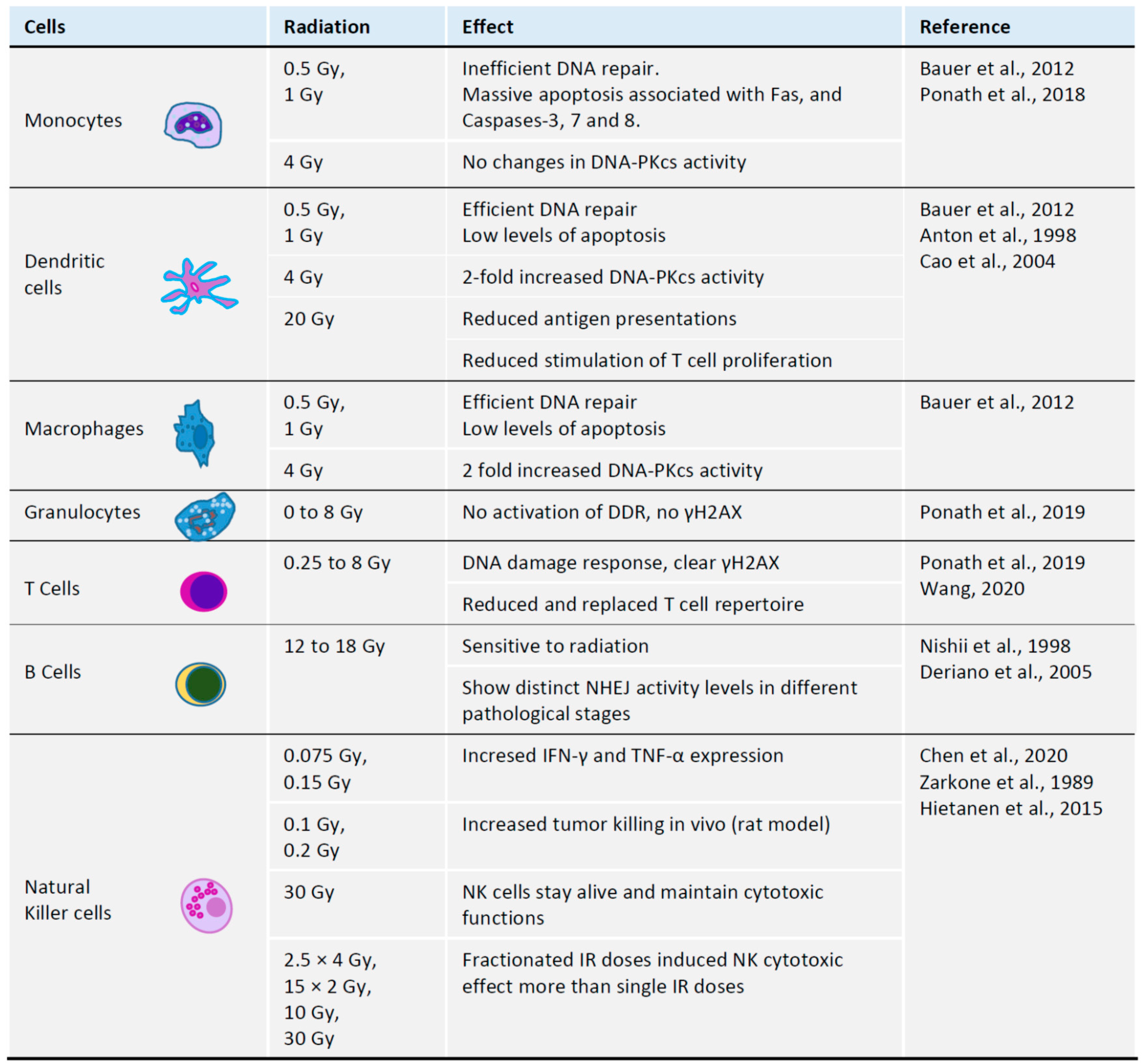 Ijms 21 08635 g002 Ijms 21 08635 g002