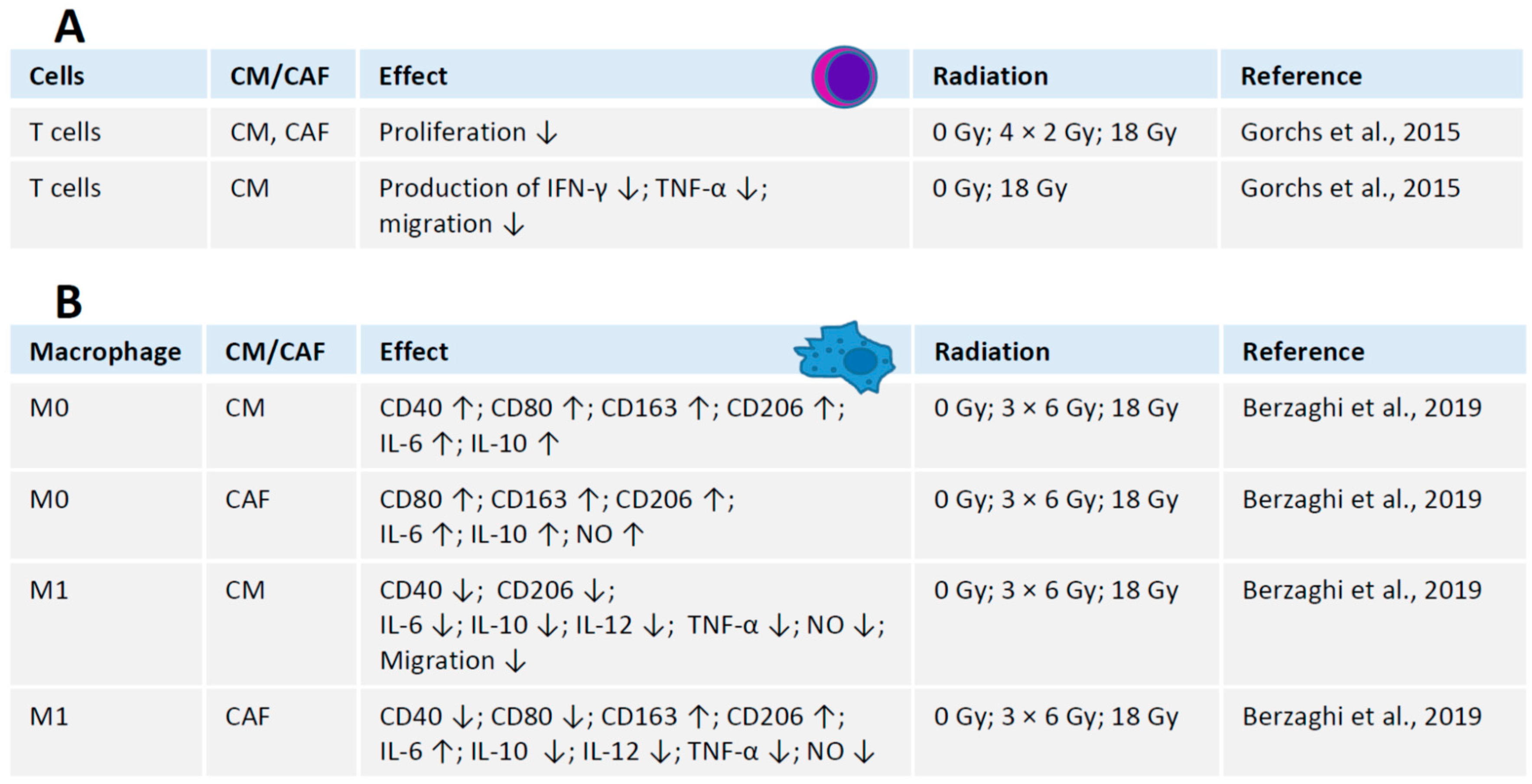 Ijms 21 08635 g003 Ijms 21 08635 g003