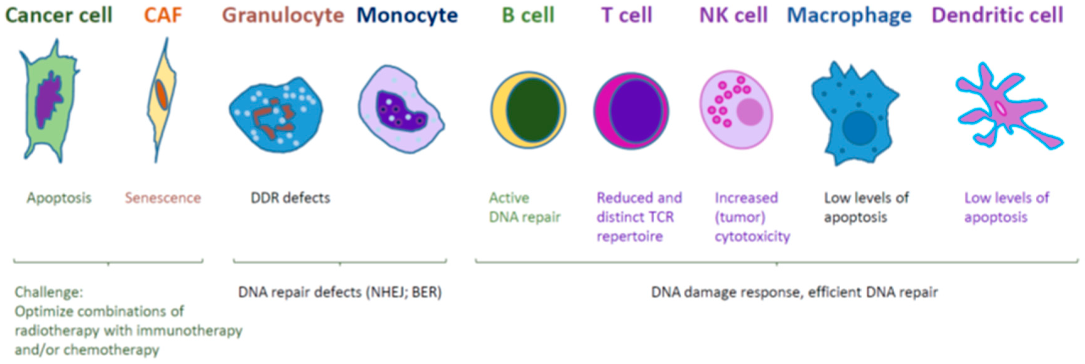 Ijms 21 08635 g004 Ijms 21 08635 g004