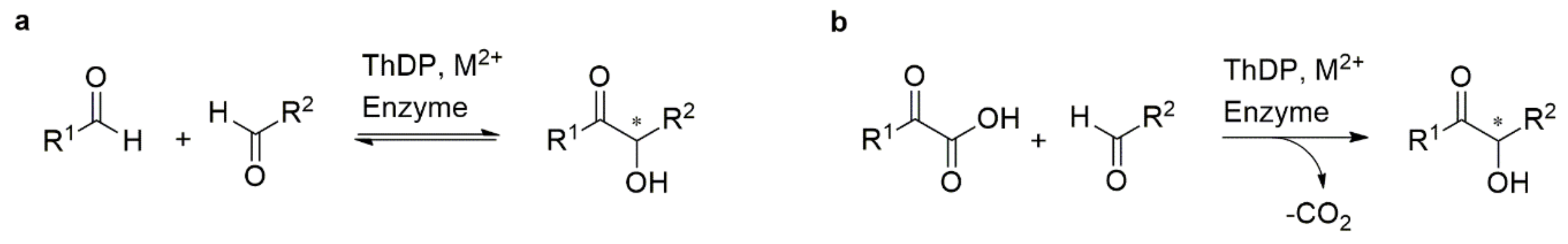 Ijms 21 08641 sch001